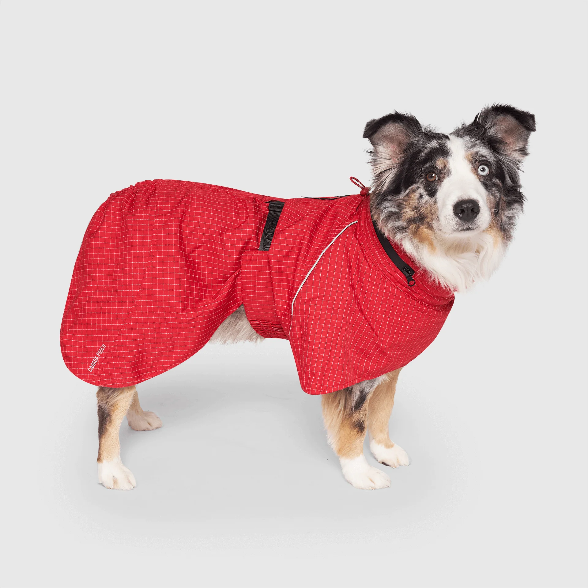 Best-Selling Dog Parkas & Jackets