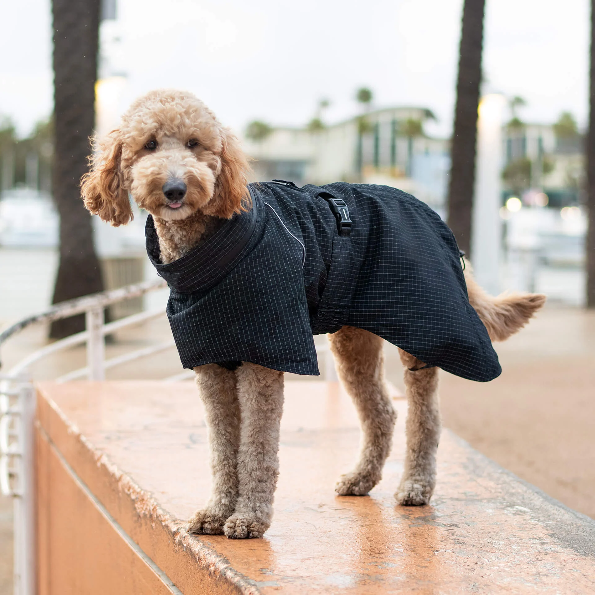 Complete Coverage Raincoat - Image 10