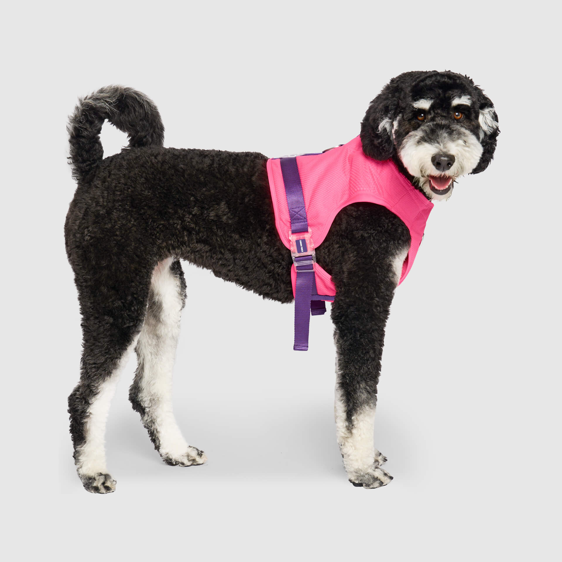 Chill Seeker Cooling Harness - Image 10