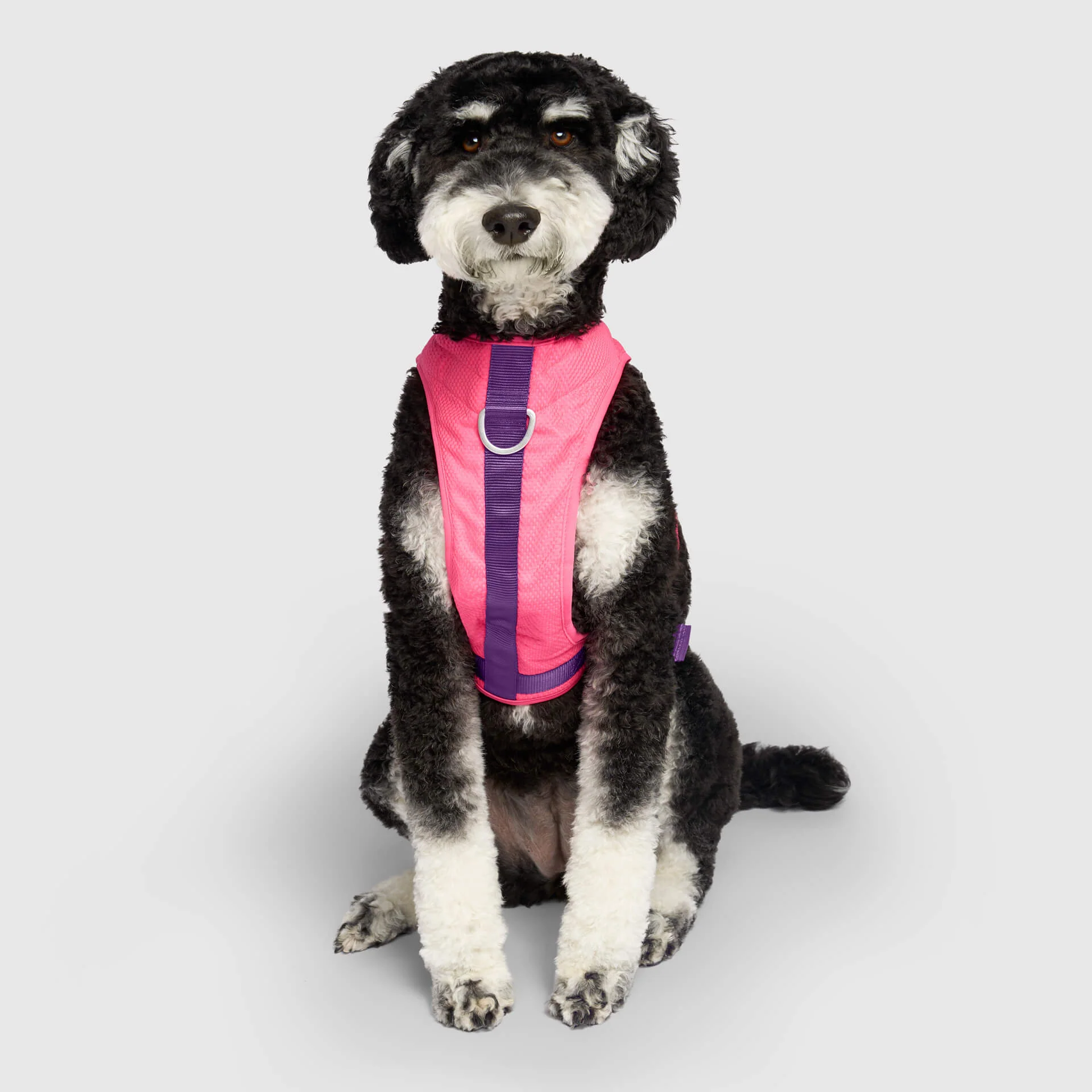Chill Seeker Cooling Harness - Image 11