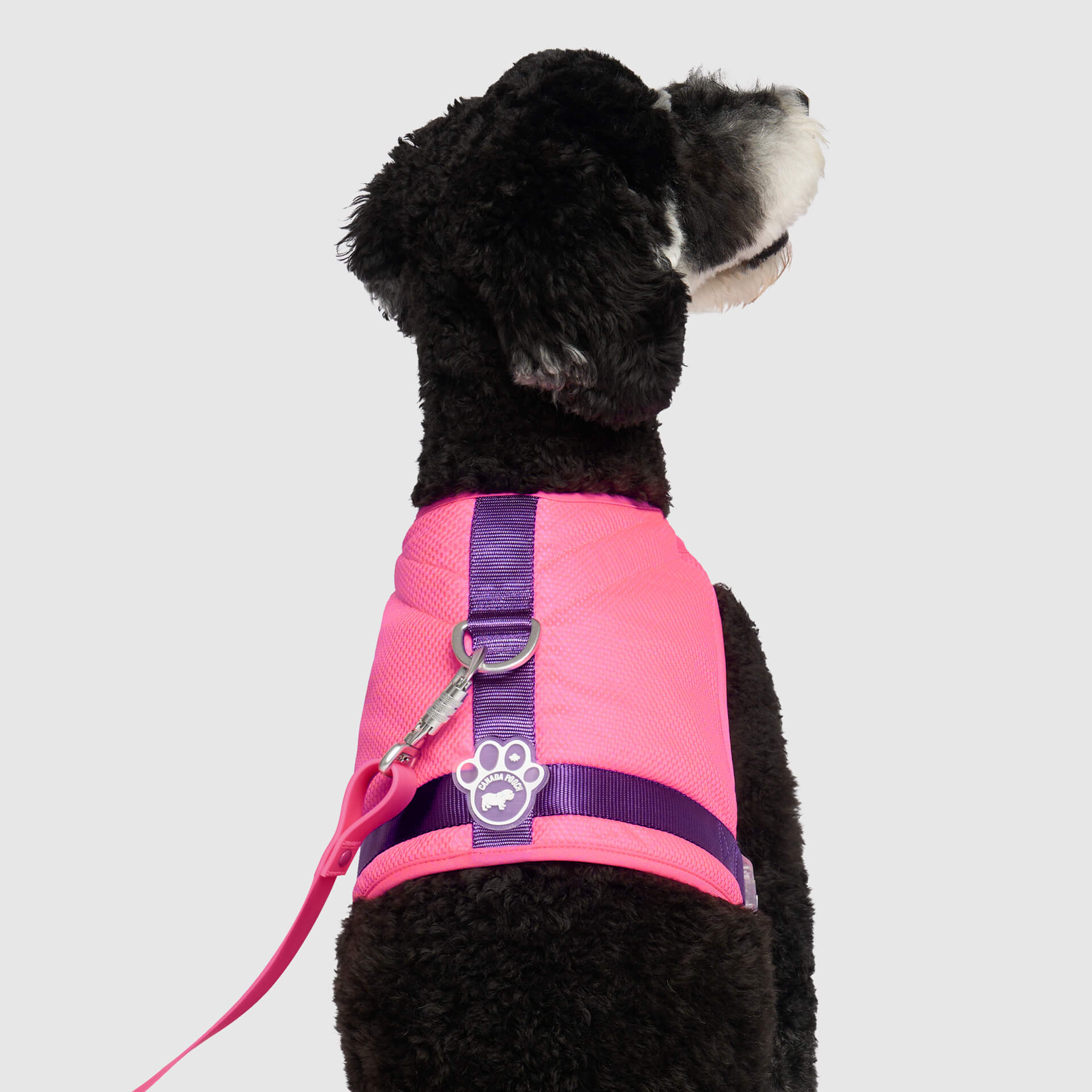 Chill Seeker Cooling Harness - Image 12