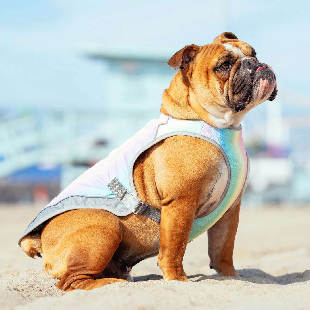 Chill Seeker Cooling Vest - Image 11