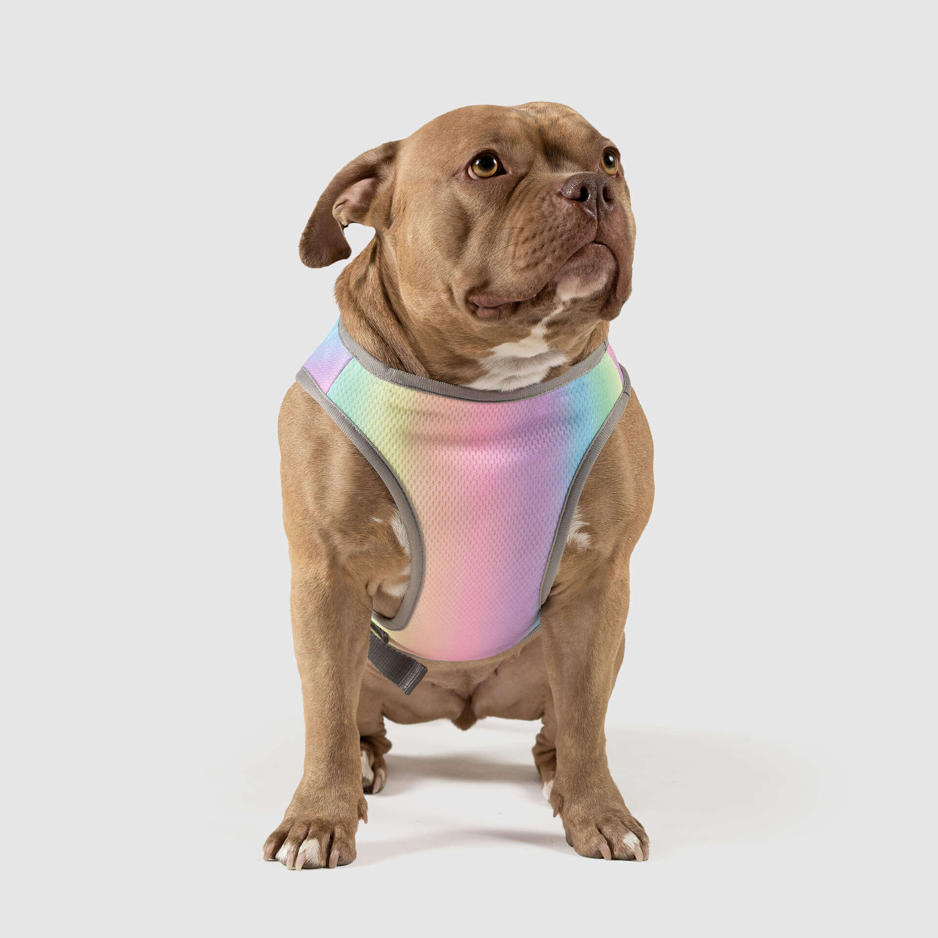 Chill Seeker Cooling Vest - Image 12
