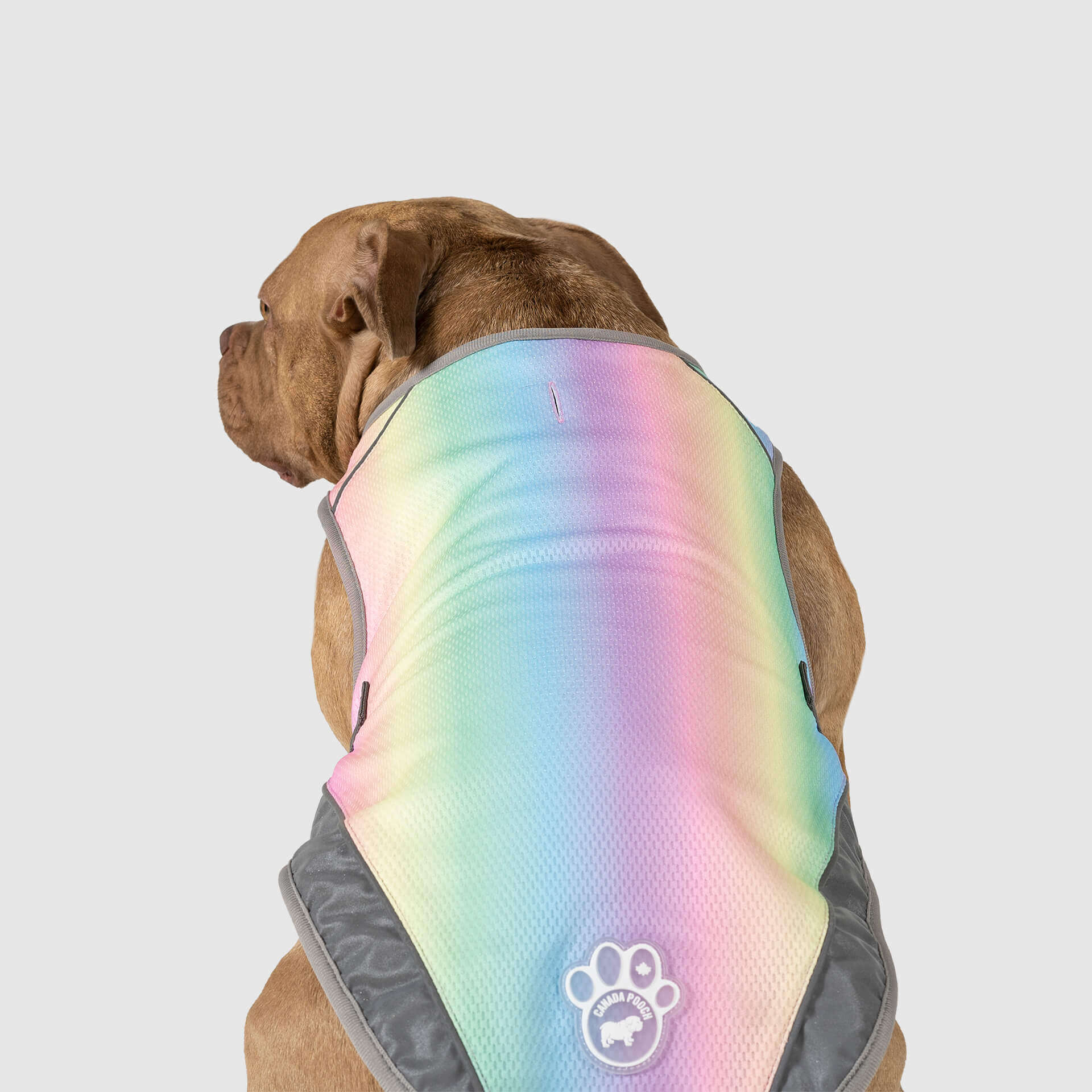 Chill Seeker Cooling Vest - Image 13