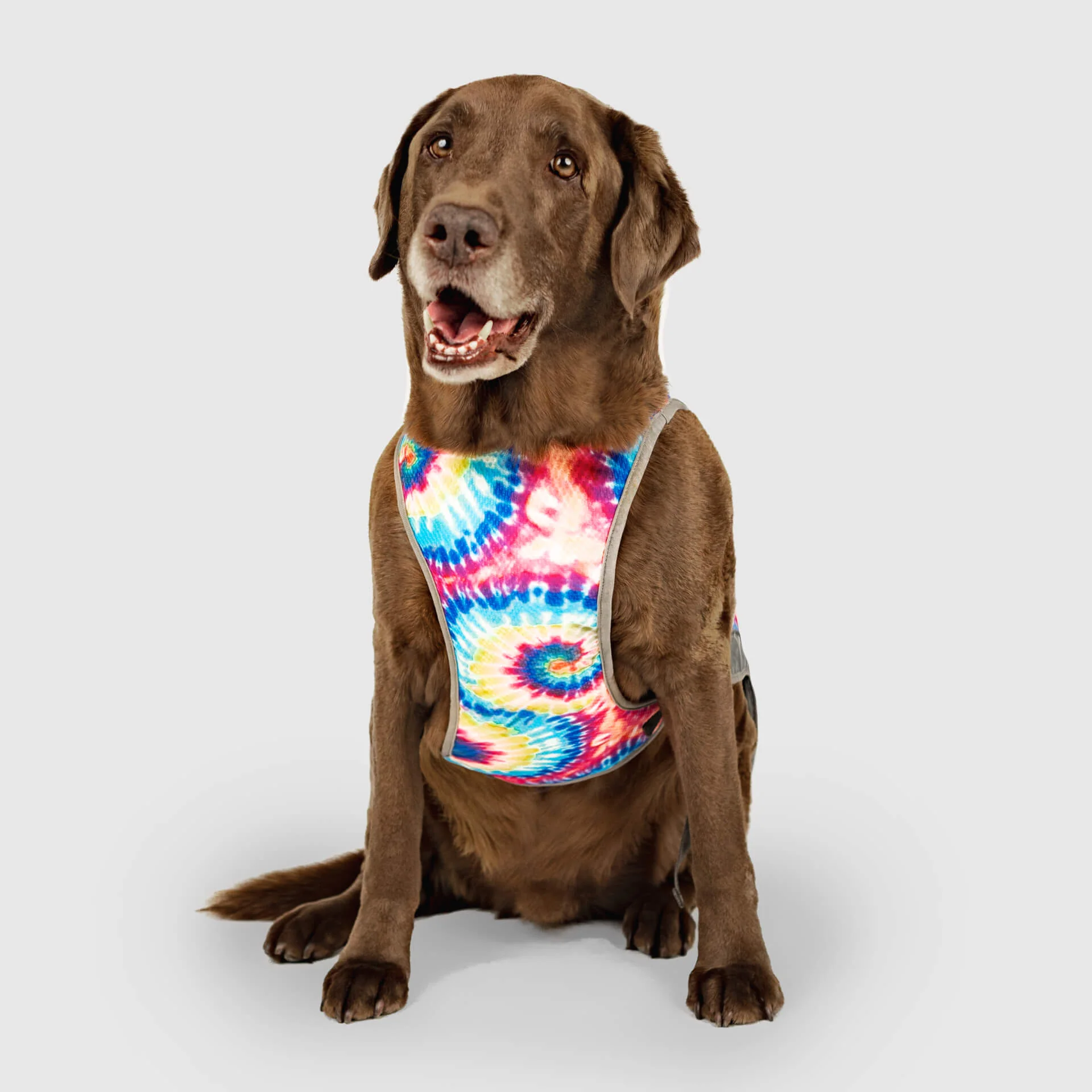 Chill Seeker Cooling Vest - Image 16