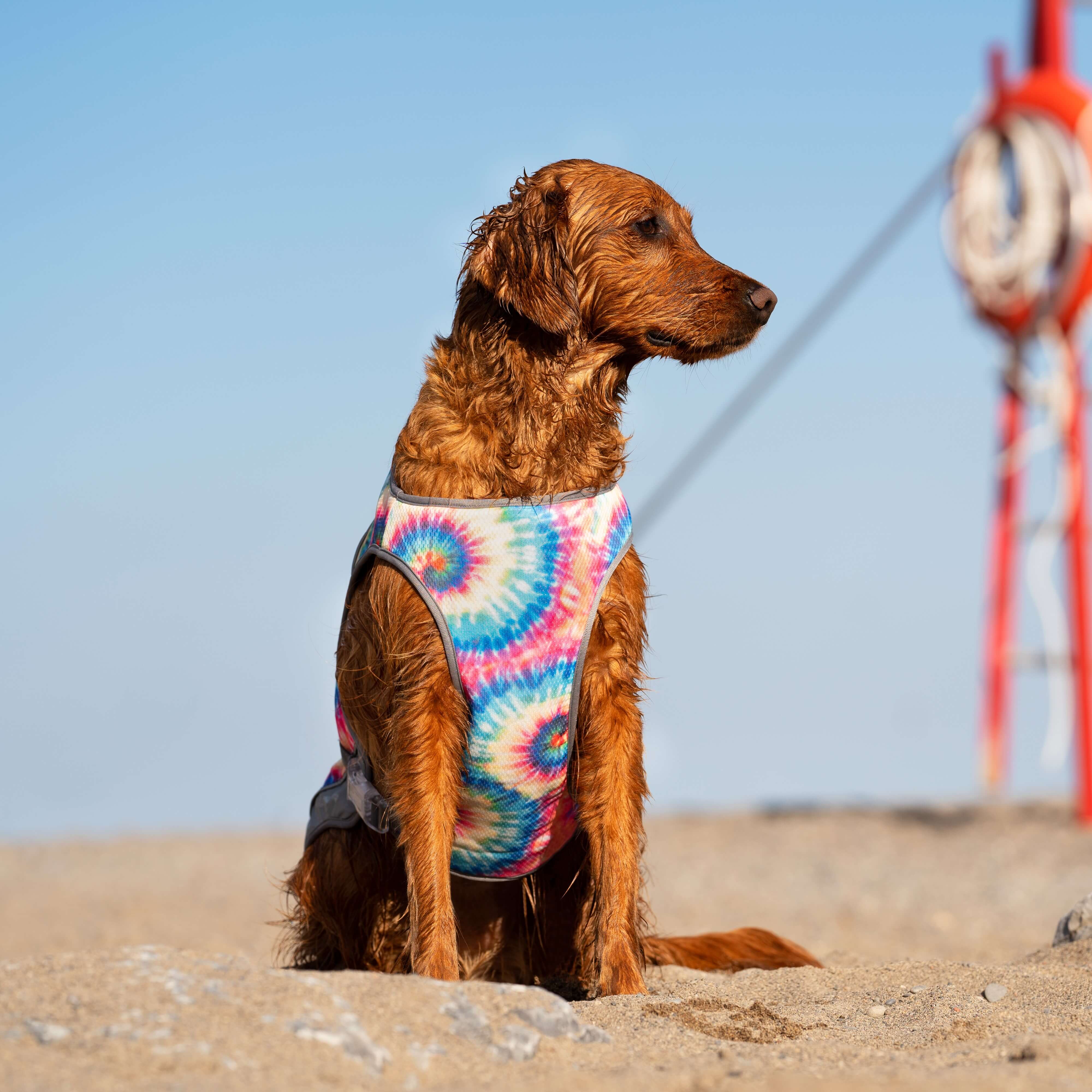 Chill Seeker Cooling Vest - Image 19