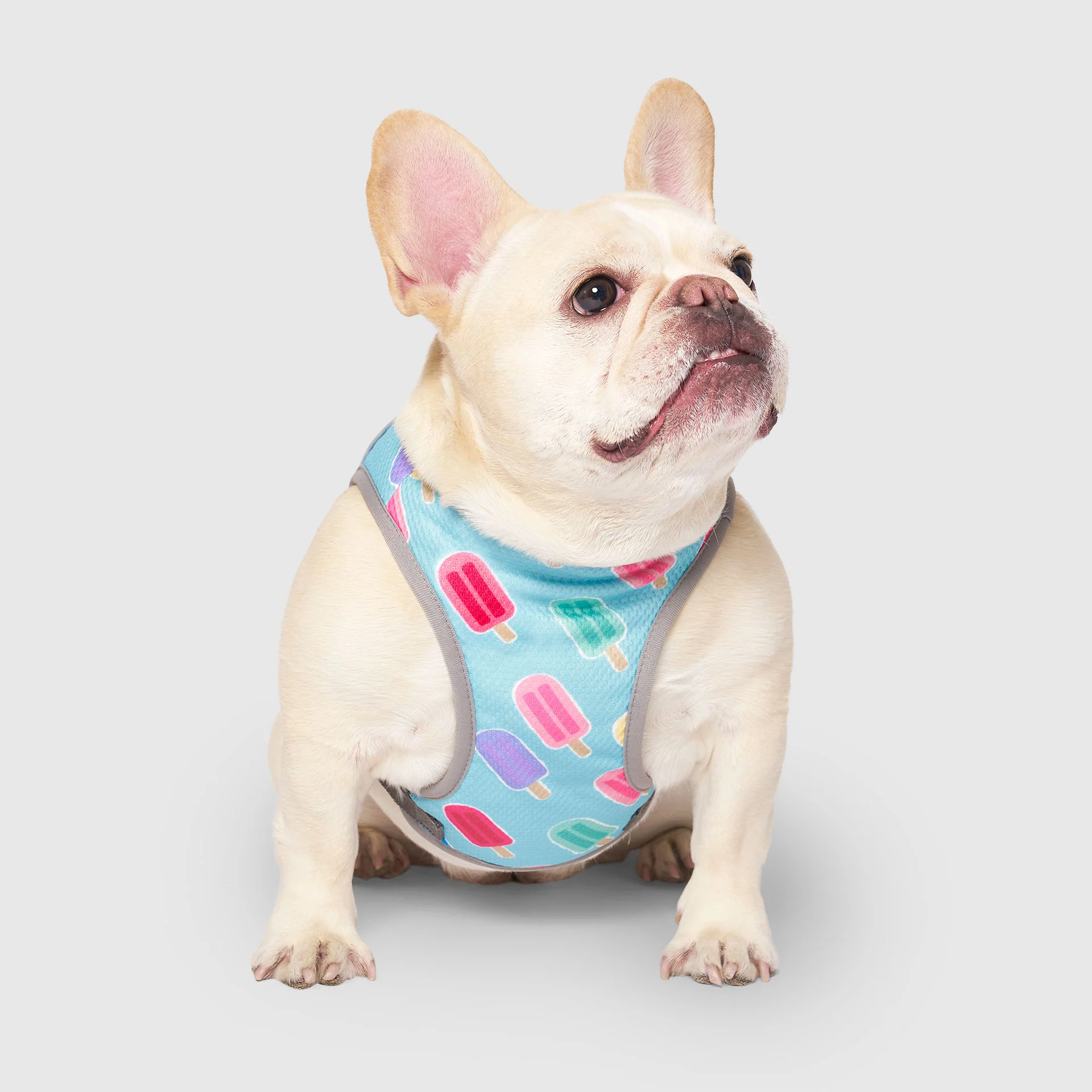 Chill Seeker Cooling Vest - Image 24