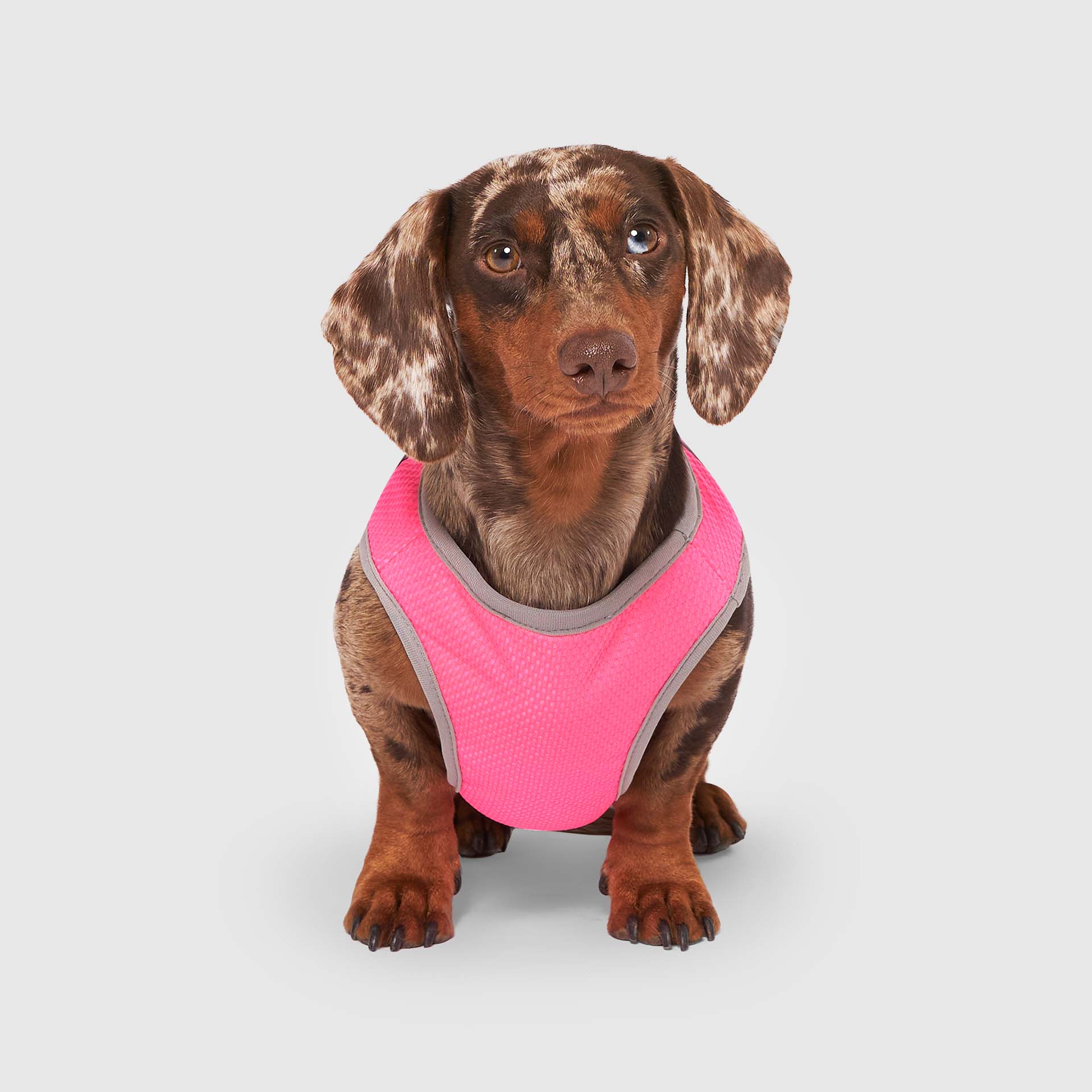 Chill Seeker Cooling Vest - Image 32