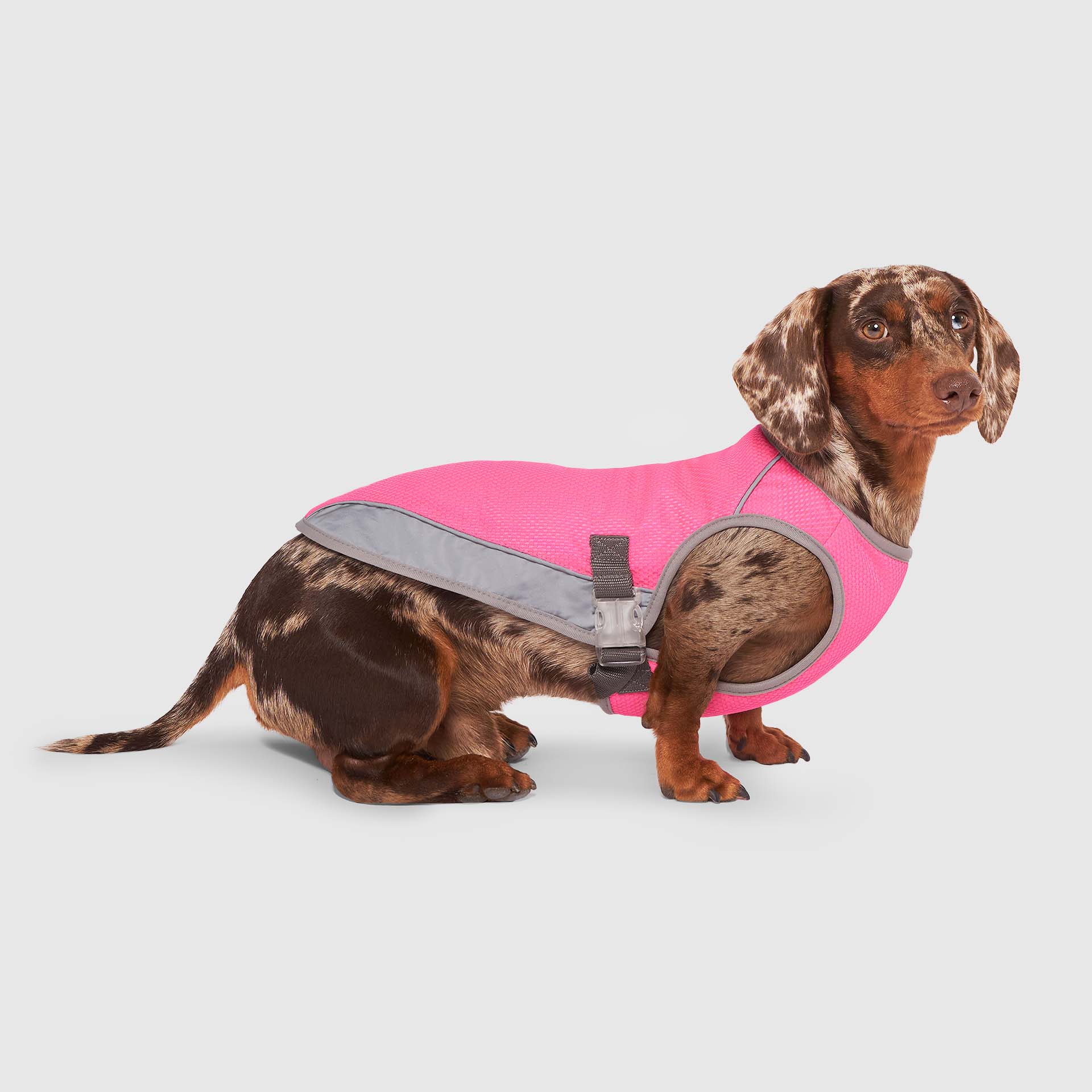 Chill Seeker Cooling Vest - Image 36