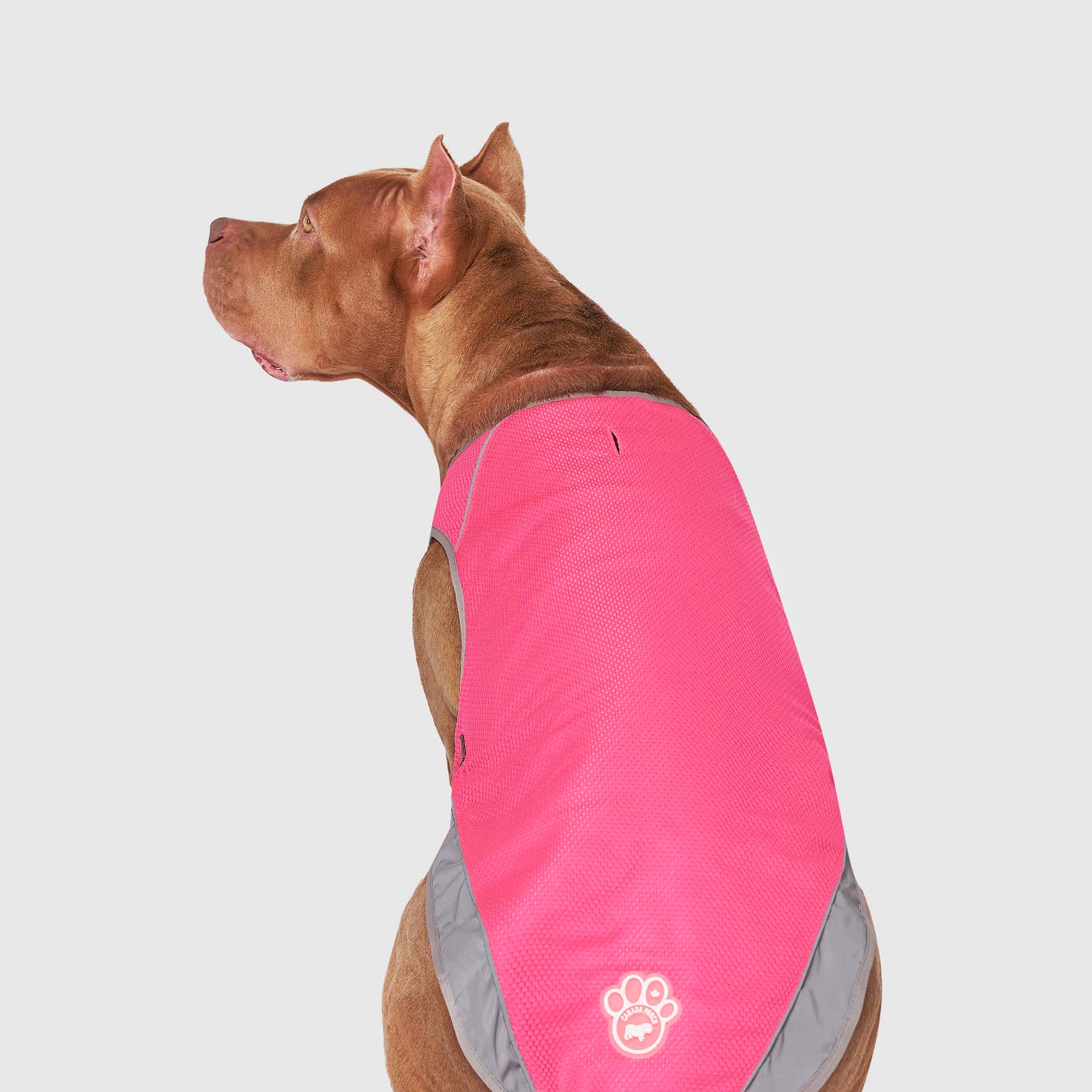 Chill Seeker Cooling Vest - Image 37