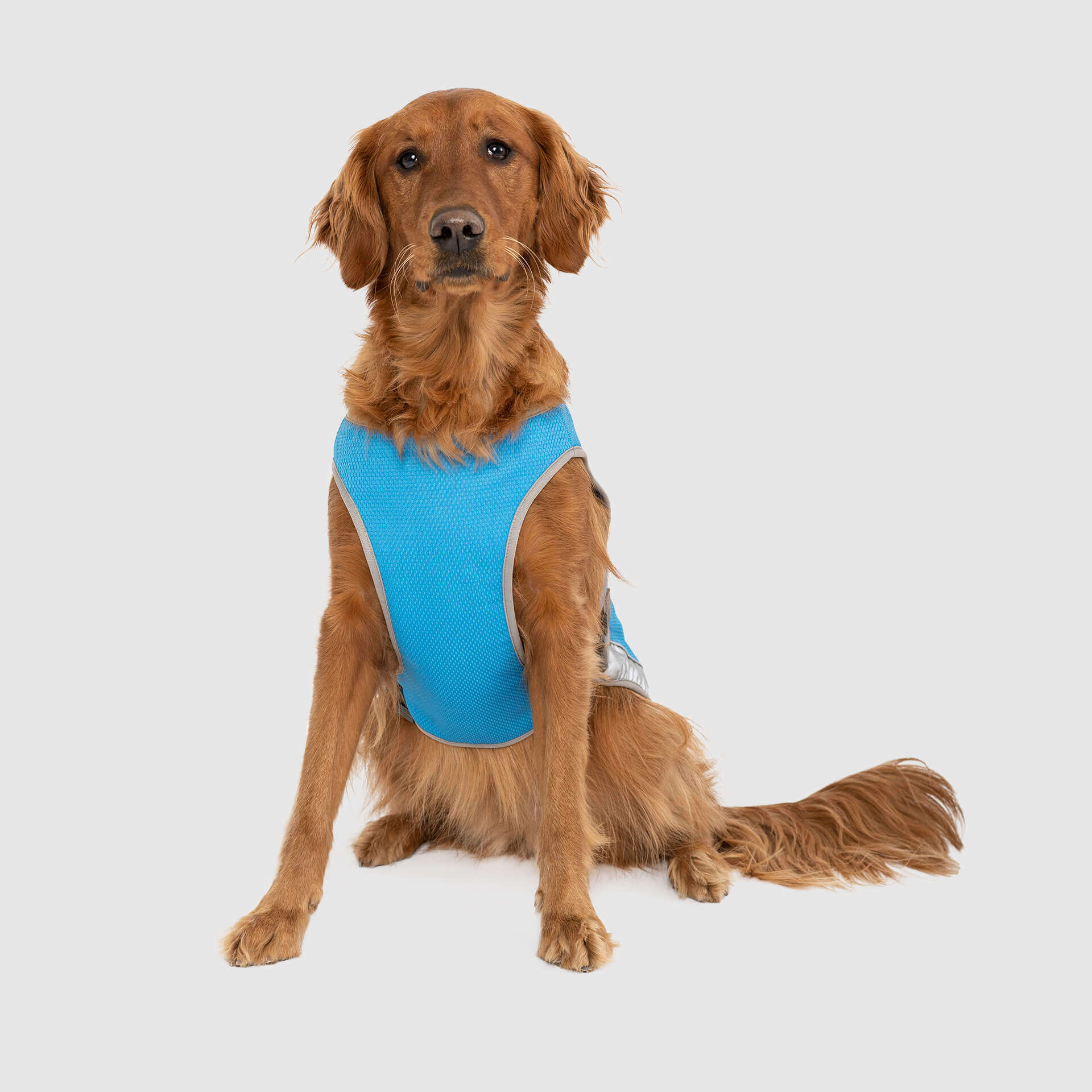 Chill Seeker Cooling Vest - Image 4