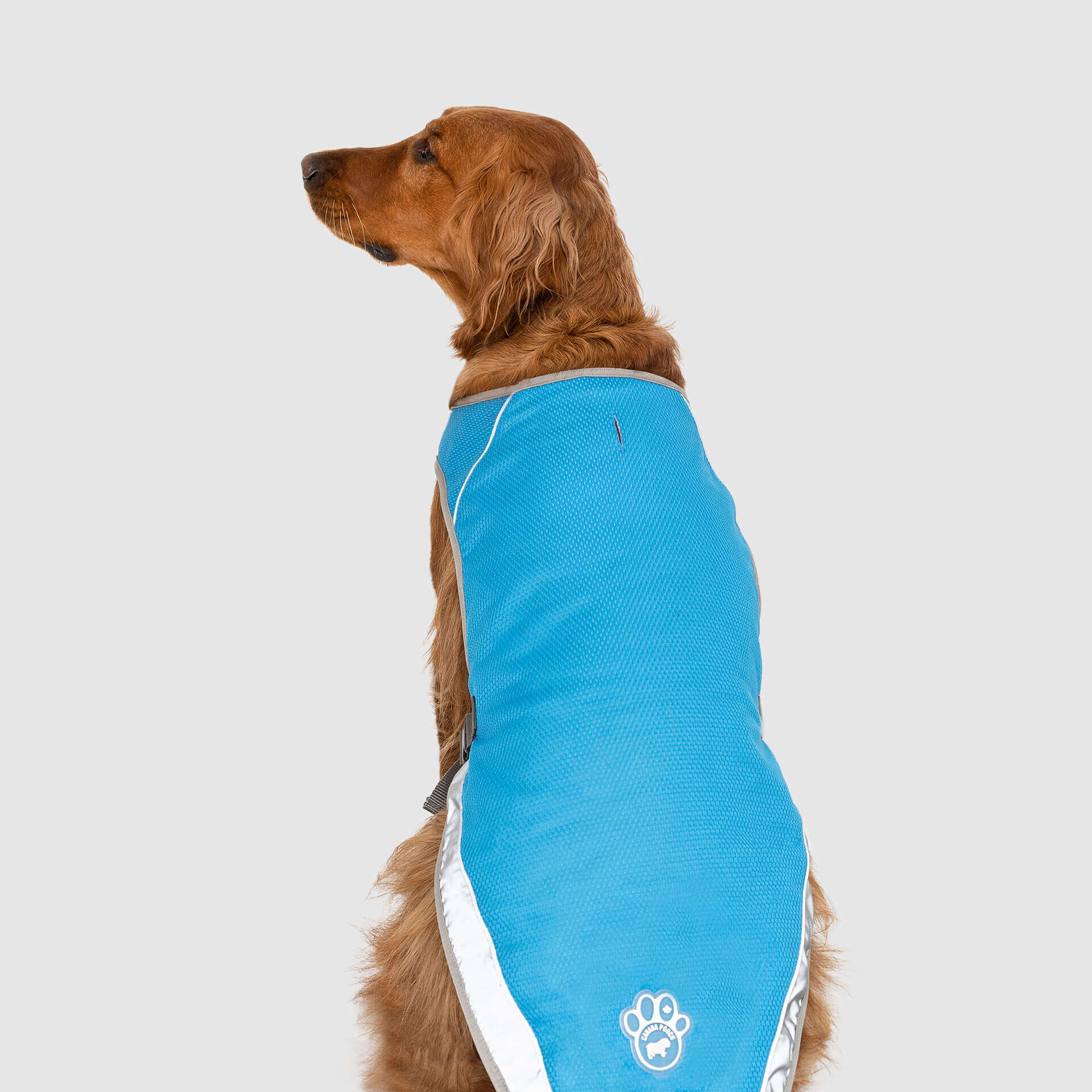 Chill Seeker Cooling Vest - Image 5