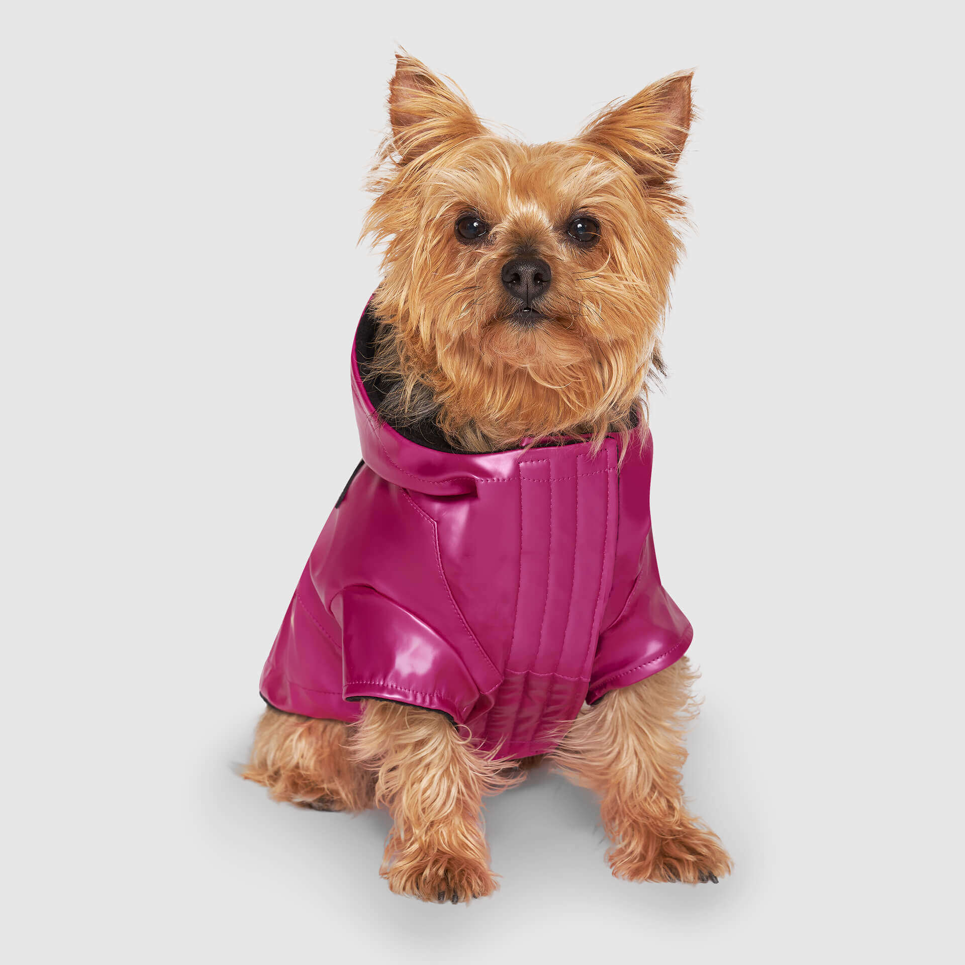 Cold Front Raincoat - Image 12