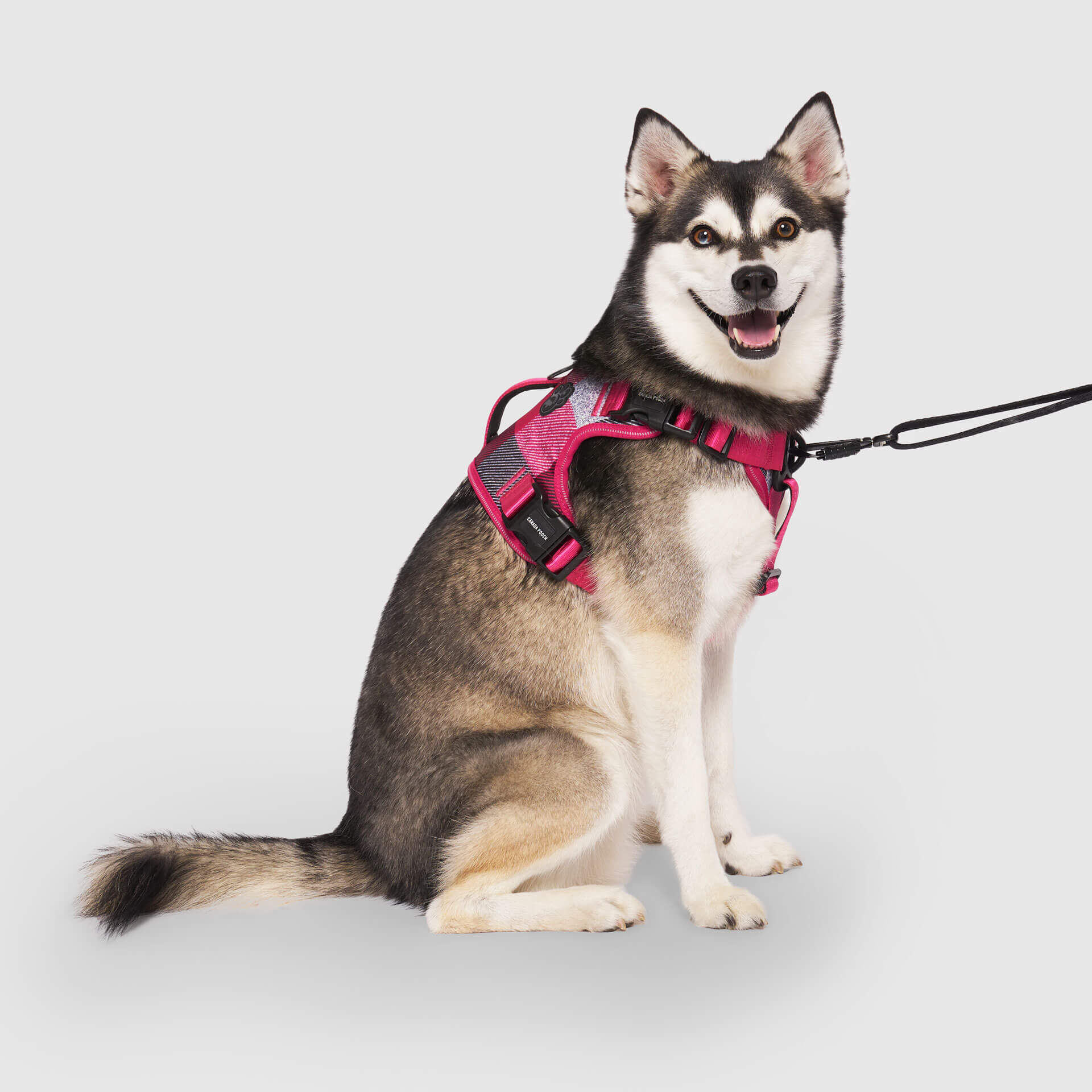 Complete Control Harness - Image 13