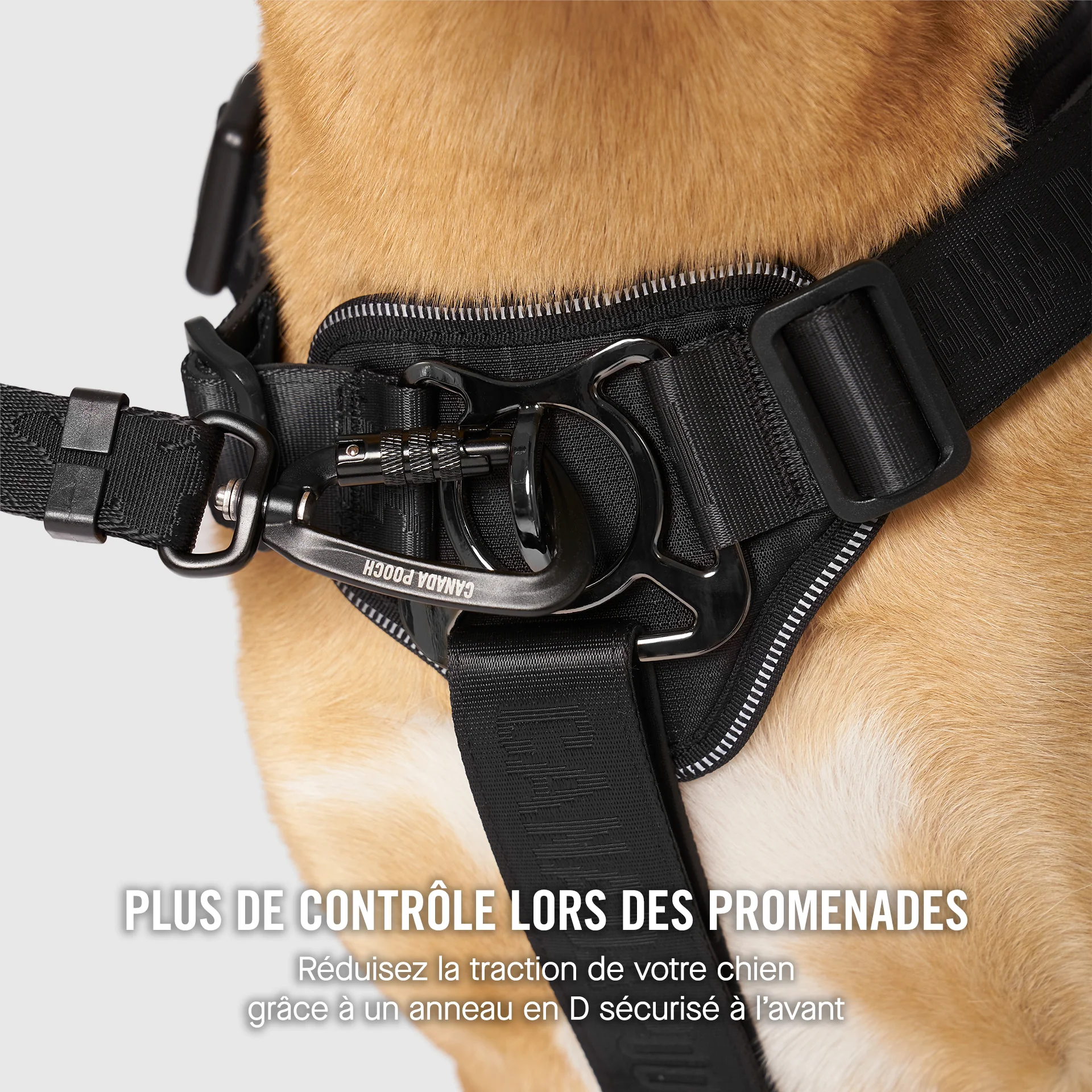 Complete Control Harness - Image 14