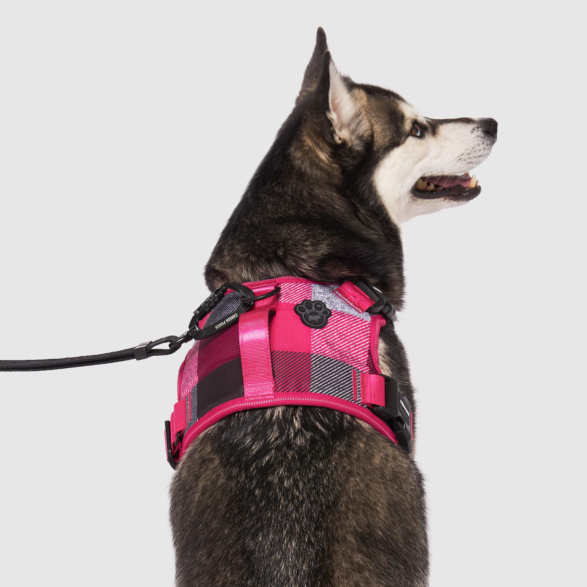 Complete Control Harness - Image 16