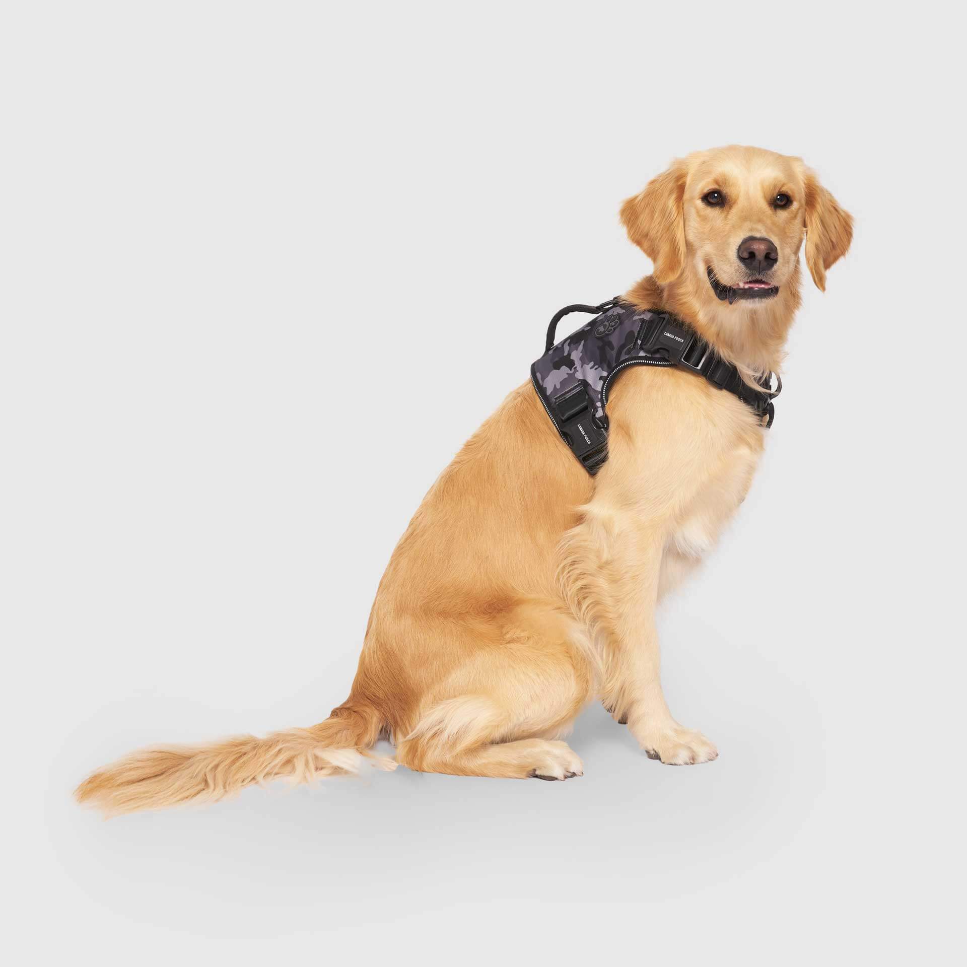 Complete Control Harness - Image 26