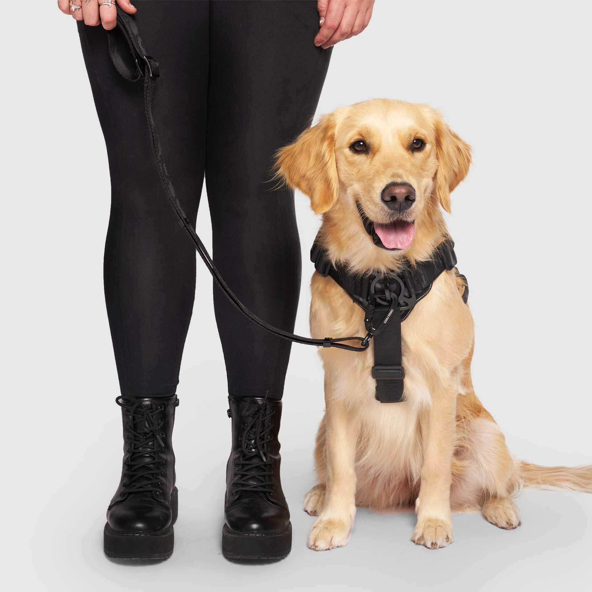 Complete Control Harness - Image 36