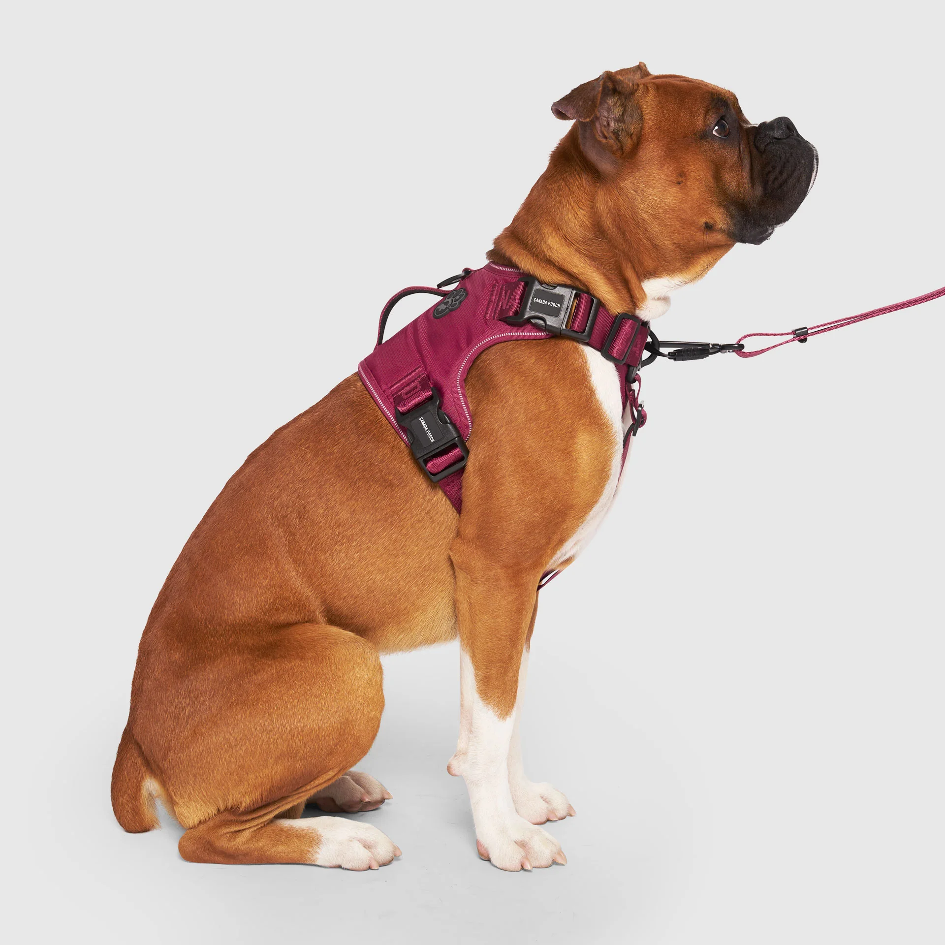 Complete Control Harness - Image 39