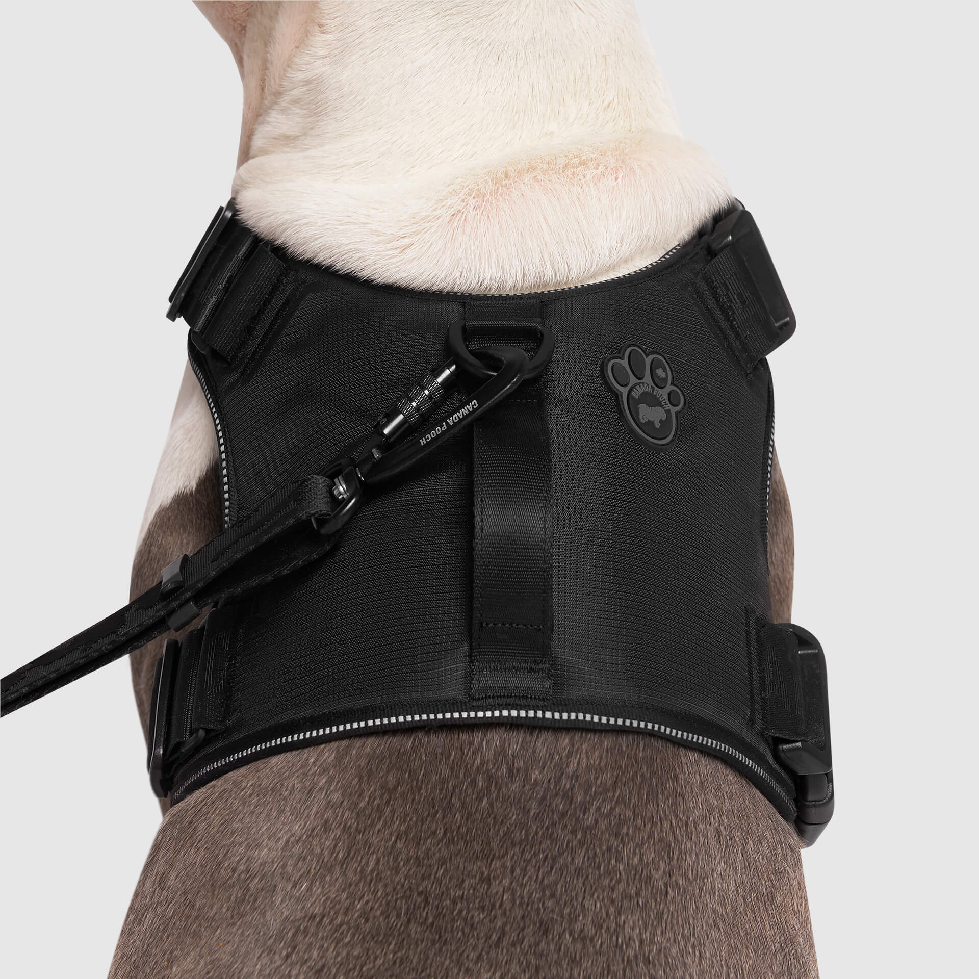 Complete Control Harness - Image 4