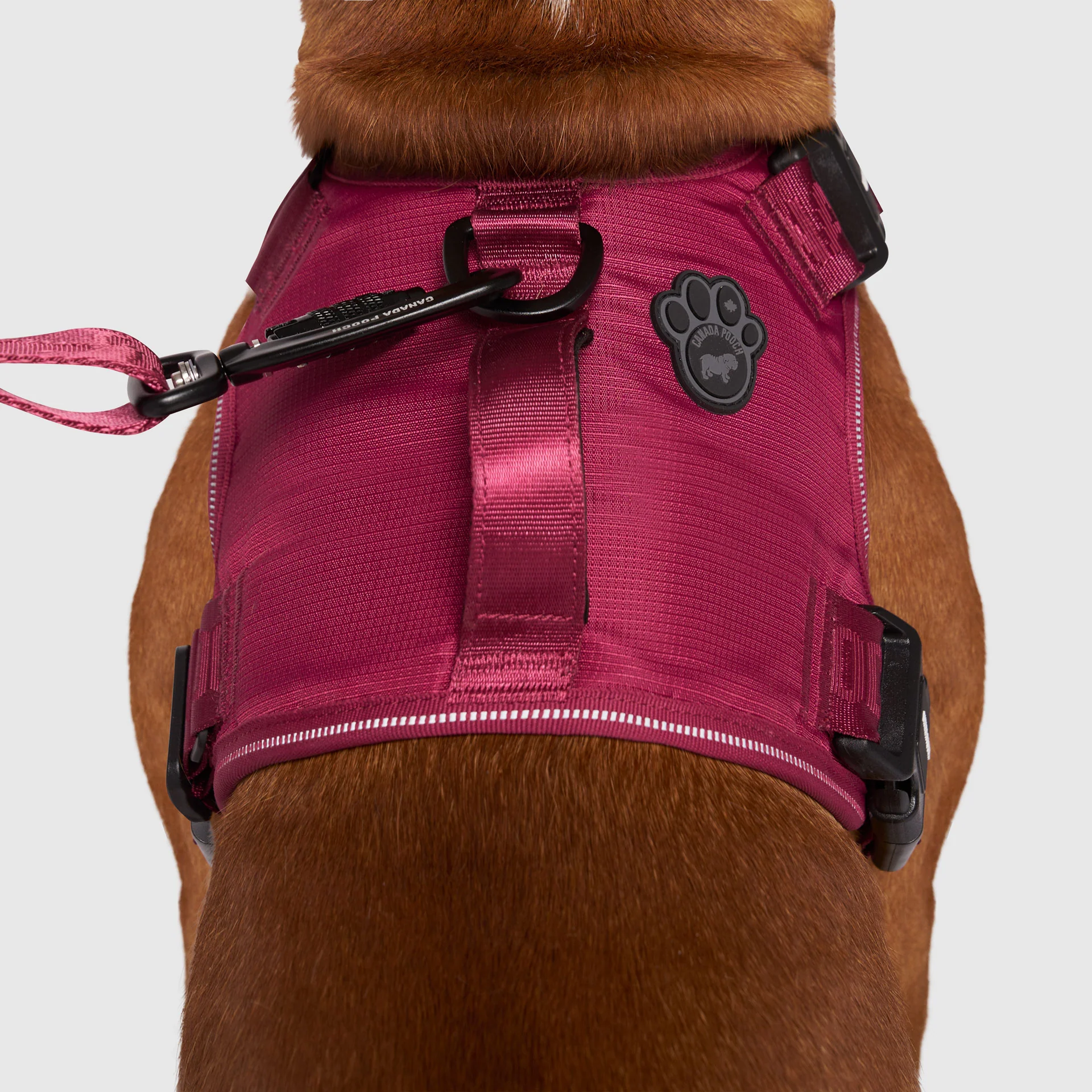 Complete Control Harness - Image 42