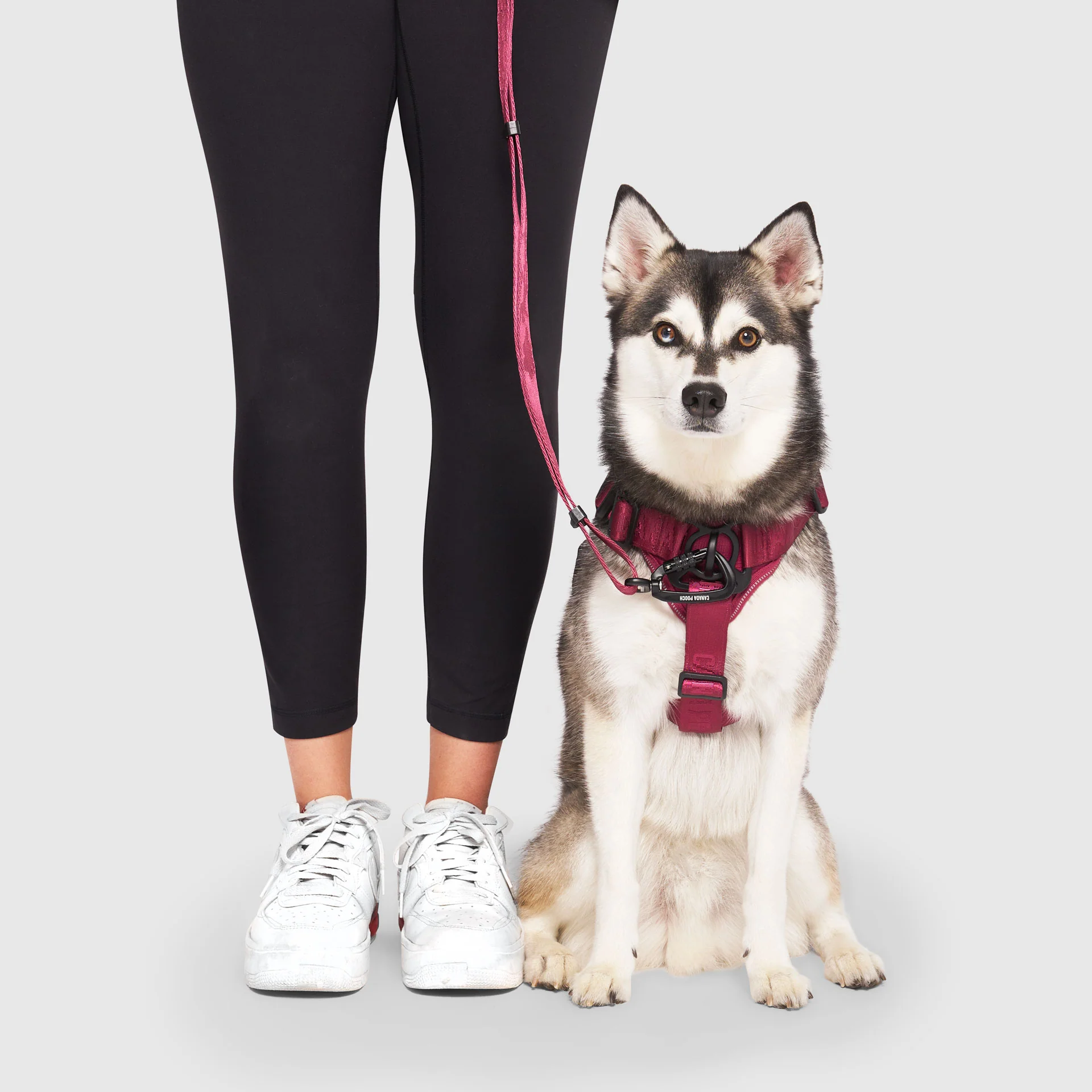 Complete Control Harness - Image 48