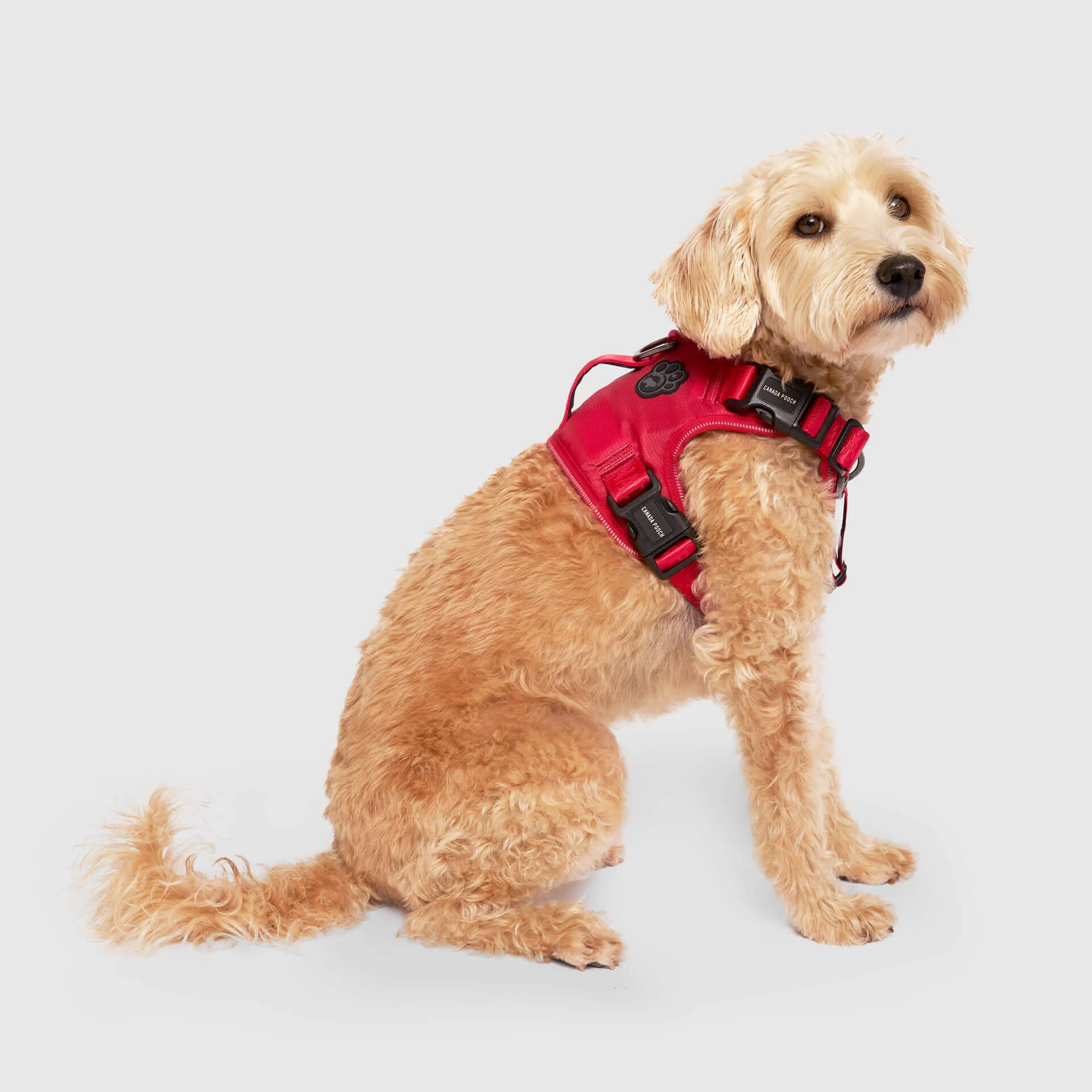 Complete Control Harness - Image 51