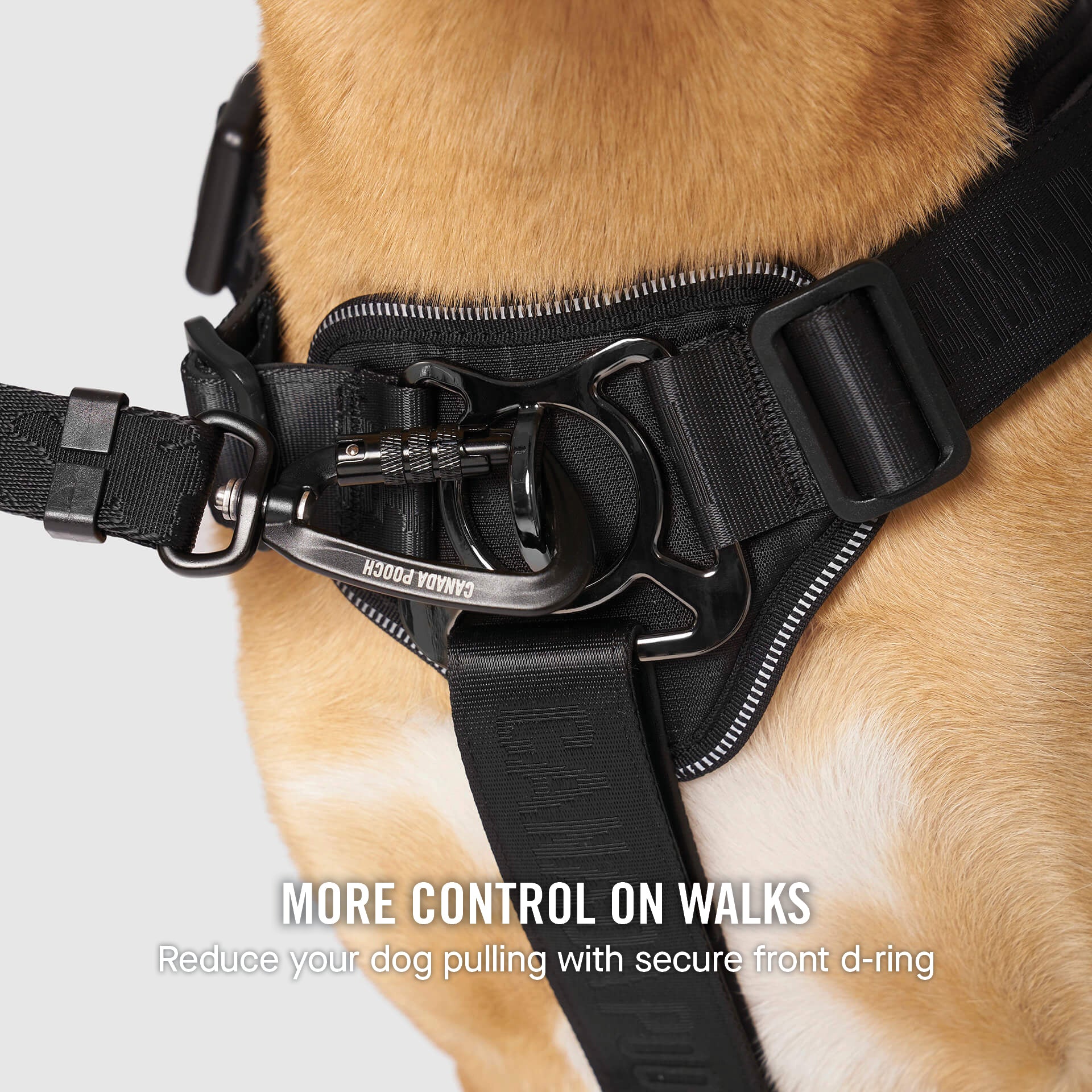 Complete Control Harness - Image 52