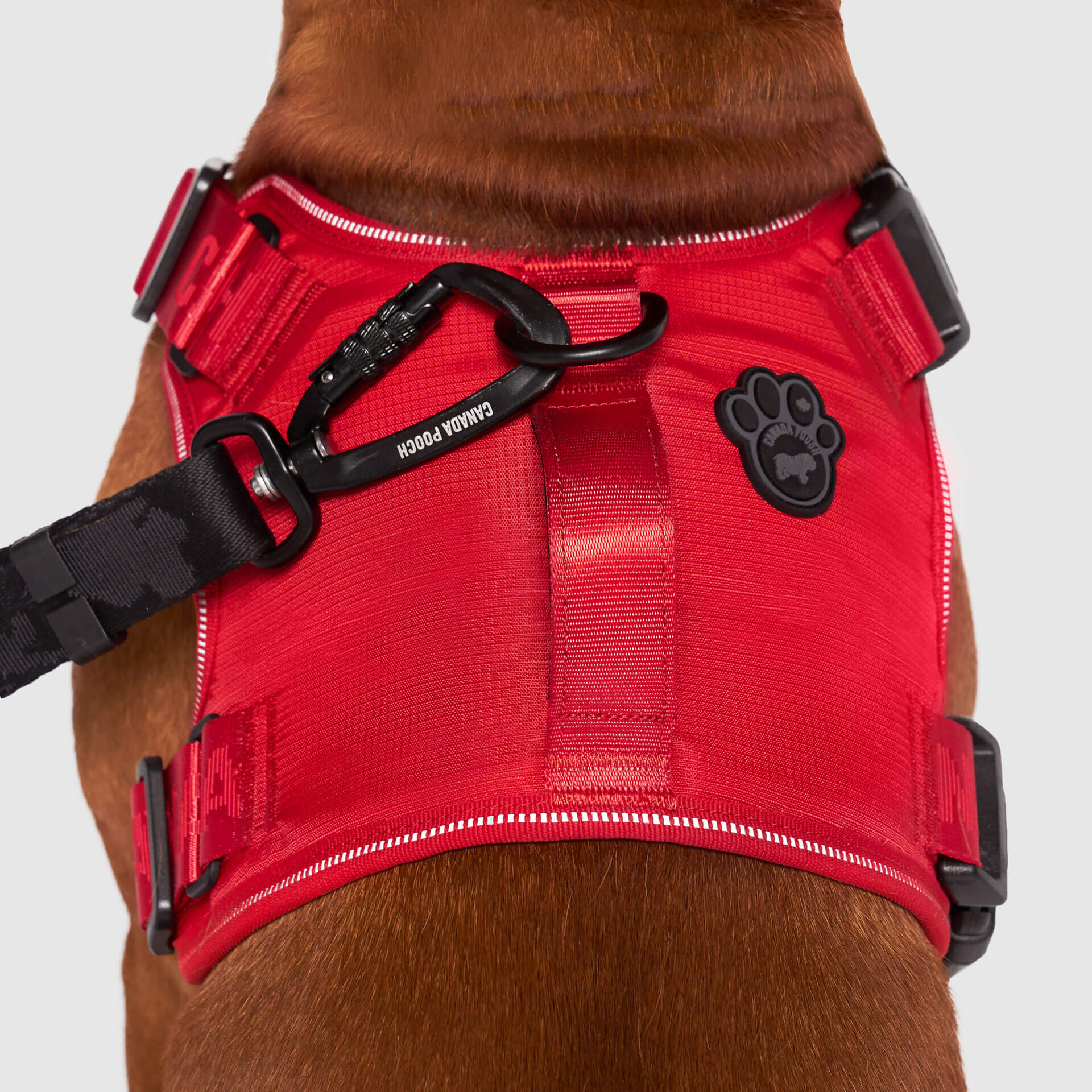 Complete Control Harness - Image 54