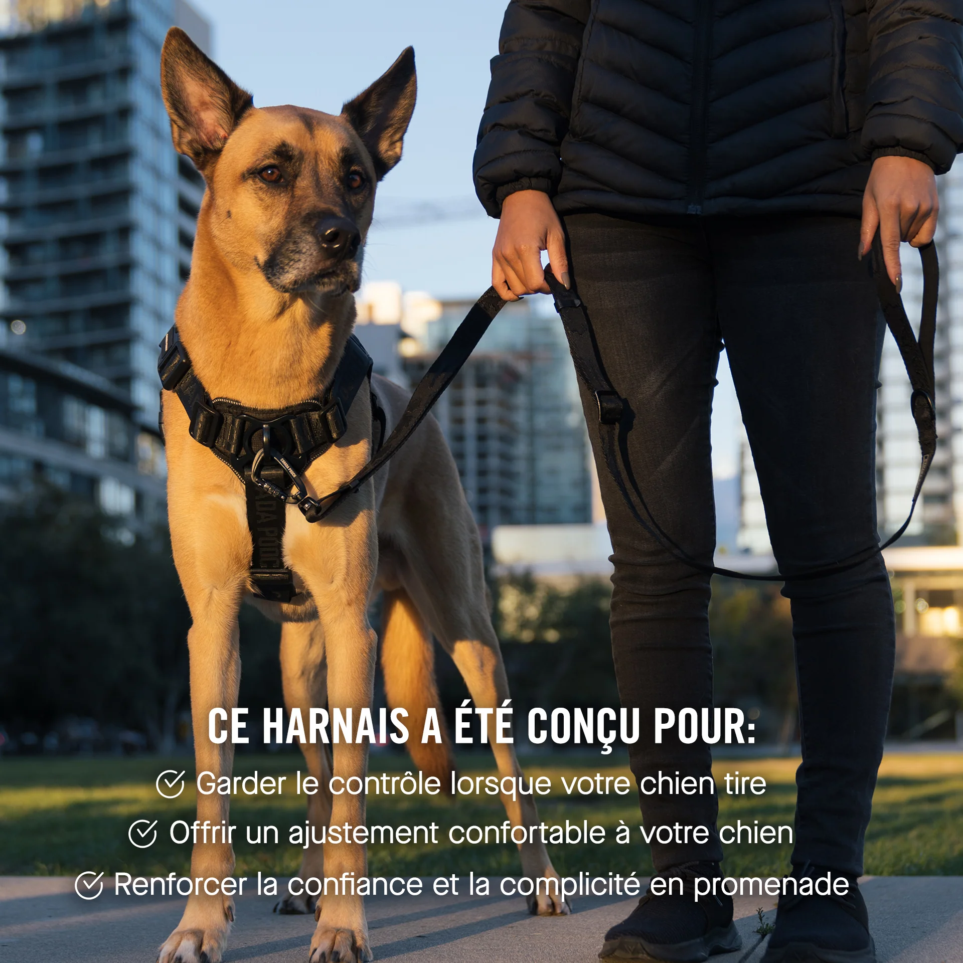 Complete Control Harness - Image 58