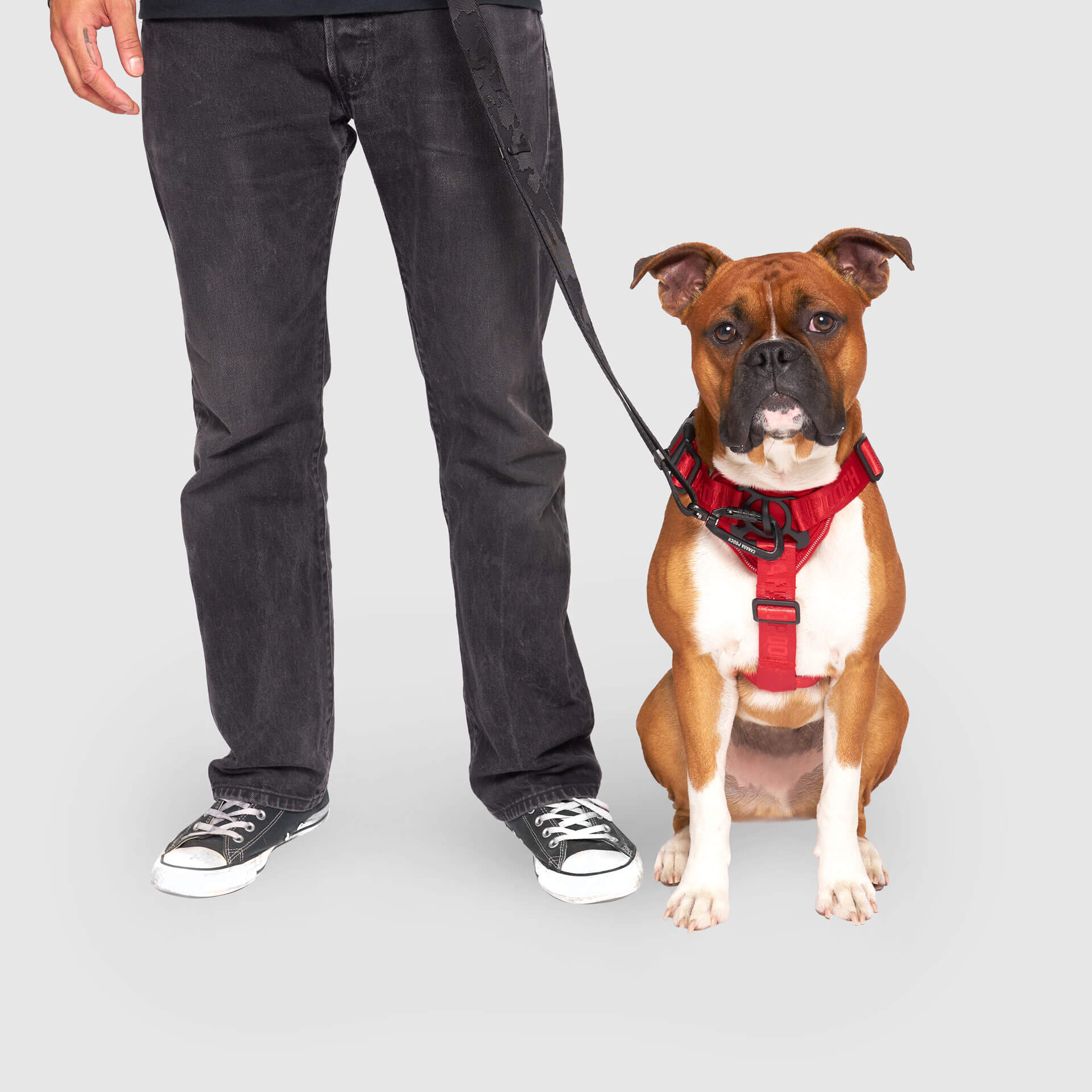 Complete Control Harness - Image 61