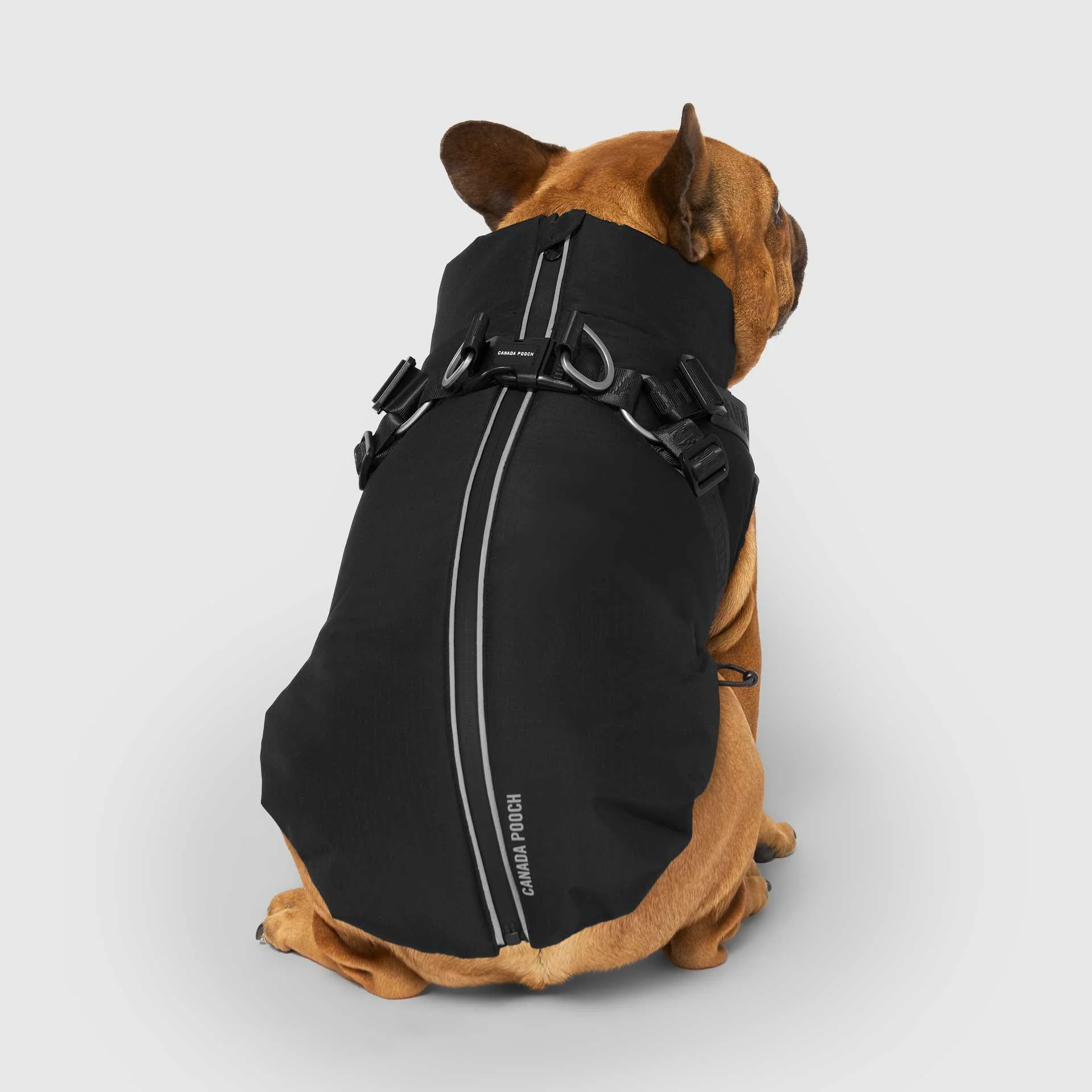 Complete Control Harness Winter Jacket - Image 4