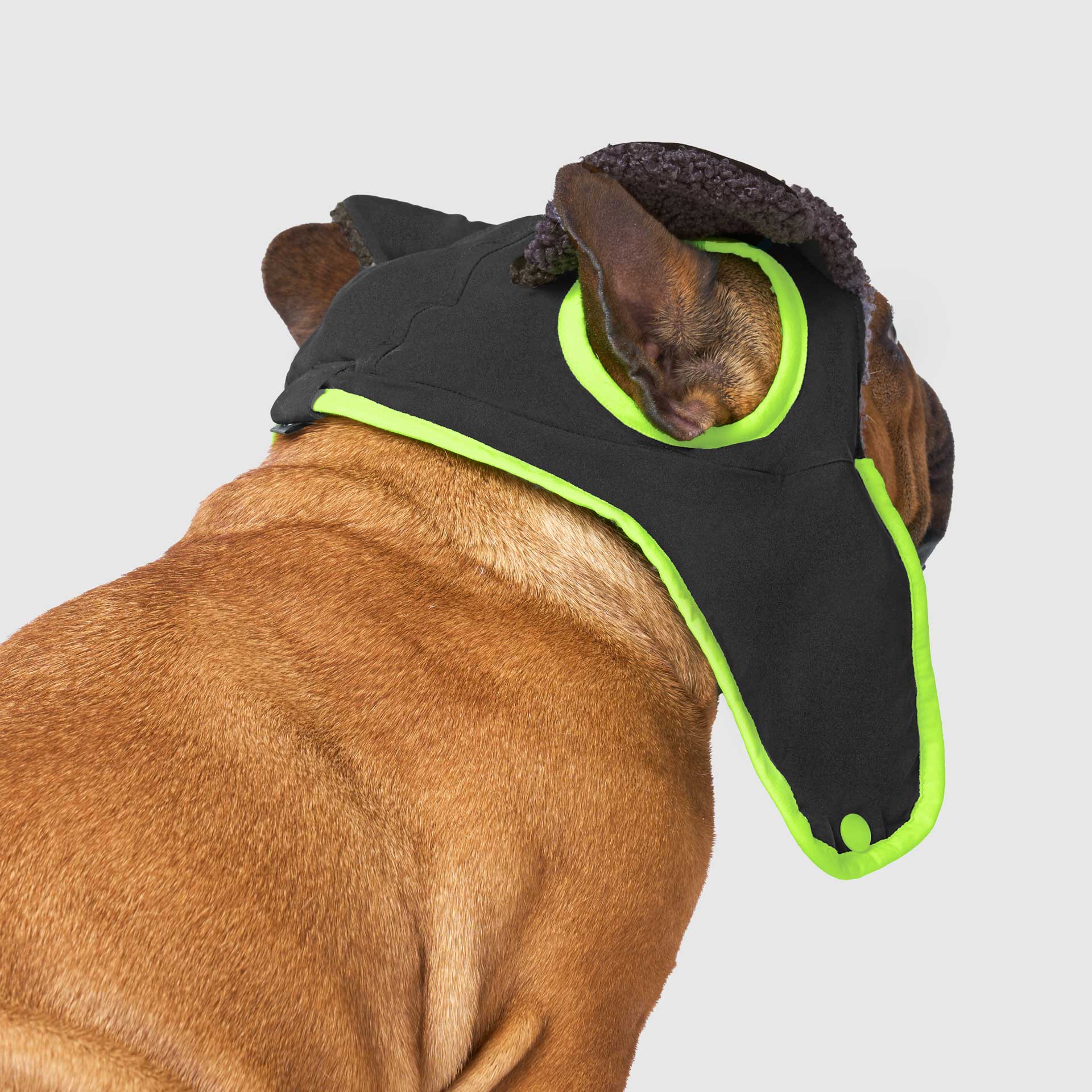 Cool Factor Aviator Hat - Image 3