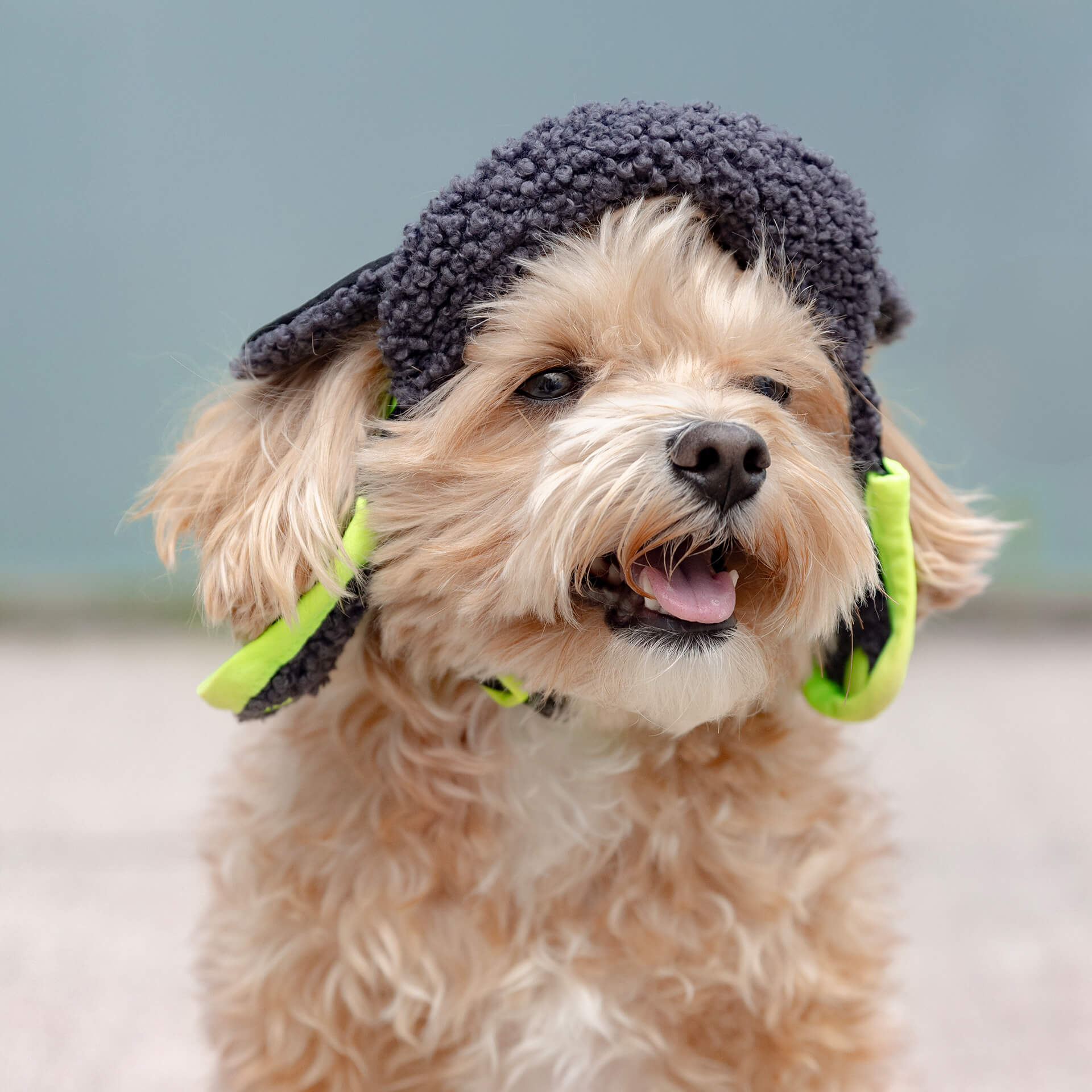 Cool Factor Aviator Hat - Image 5