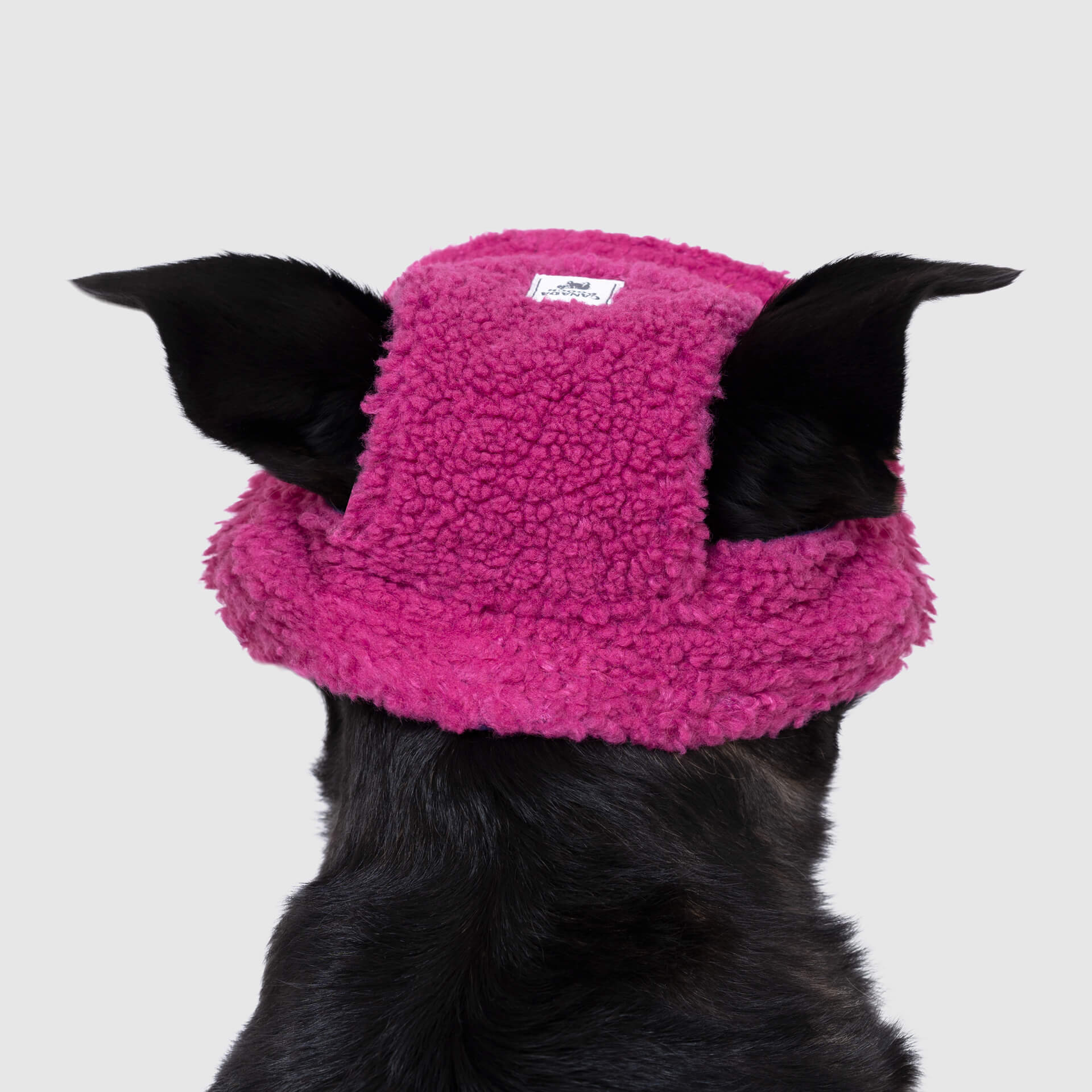 Cool Factor Bucket Hat - Image 3