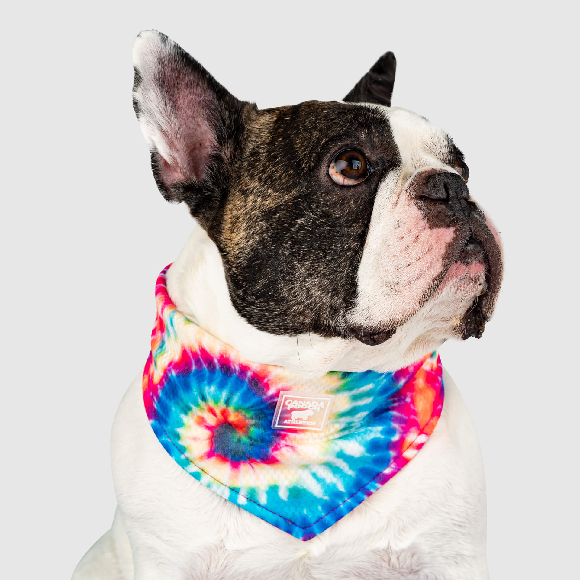 Cooling Bandana - Image 10