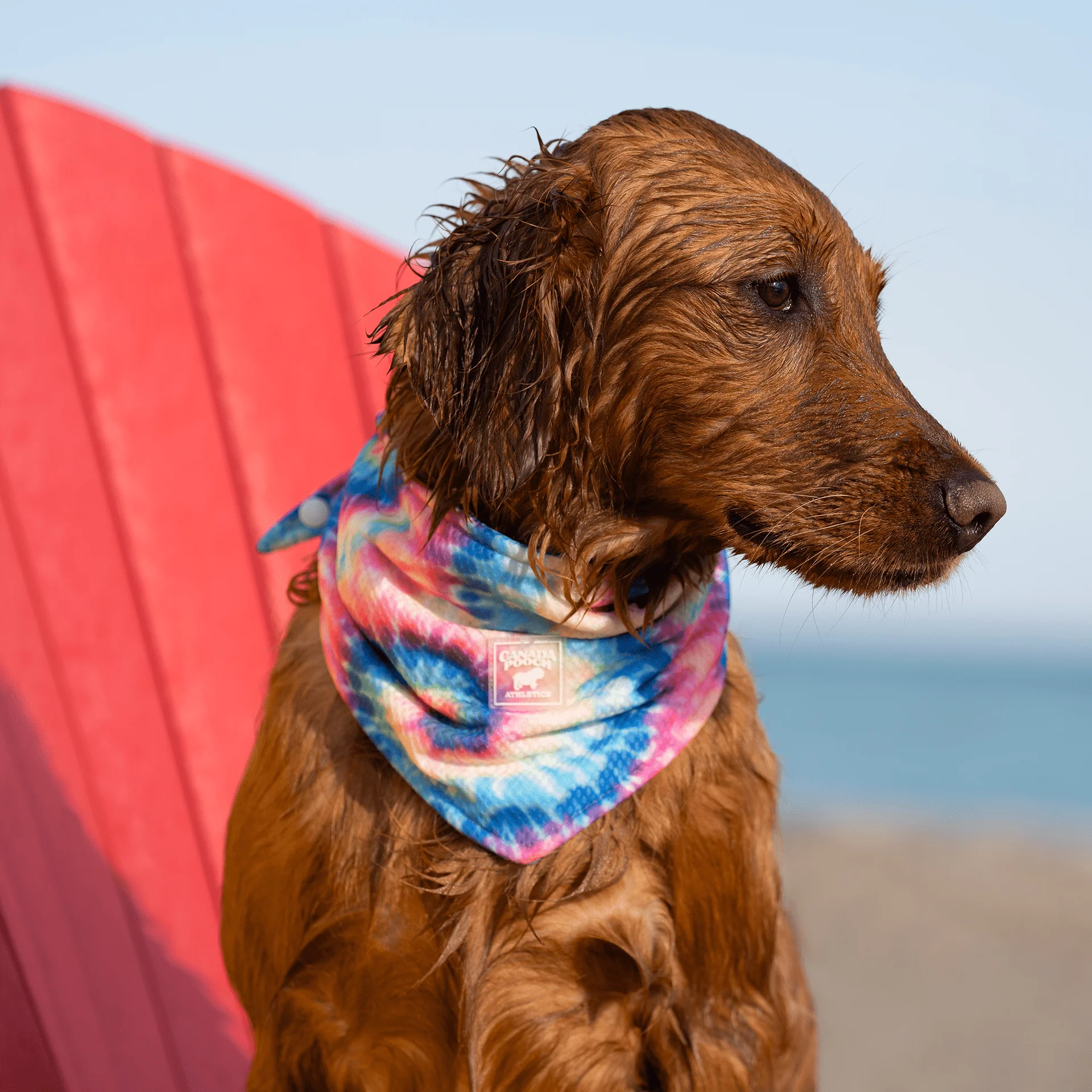 Cooling Bandana - Image 11