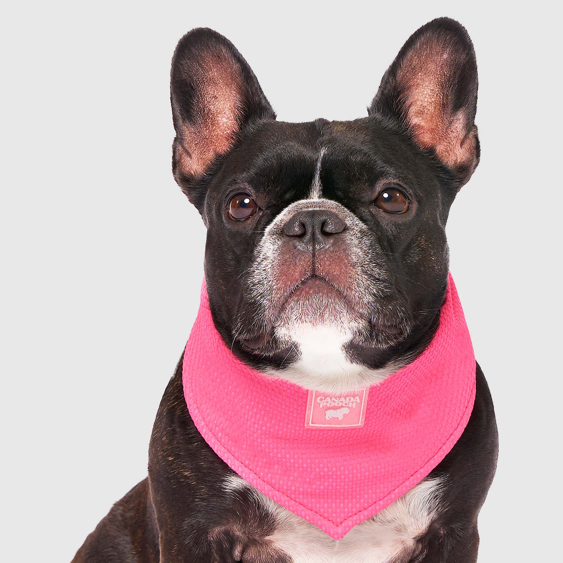 Cooling Bandana - Image 14