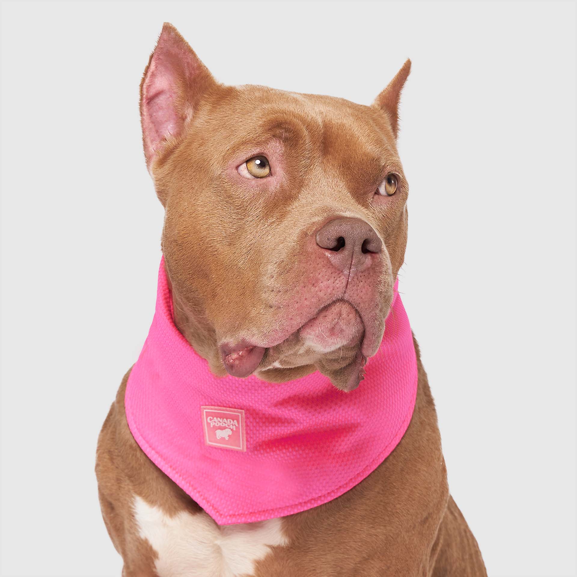 Cooling Bandana - Image 15