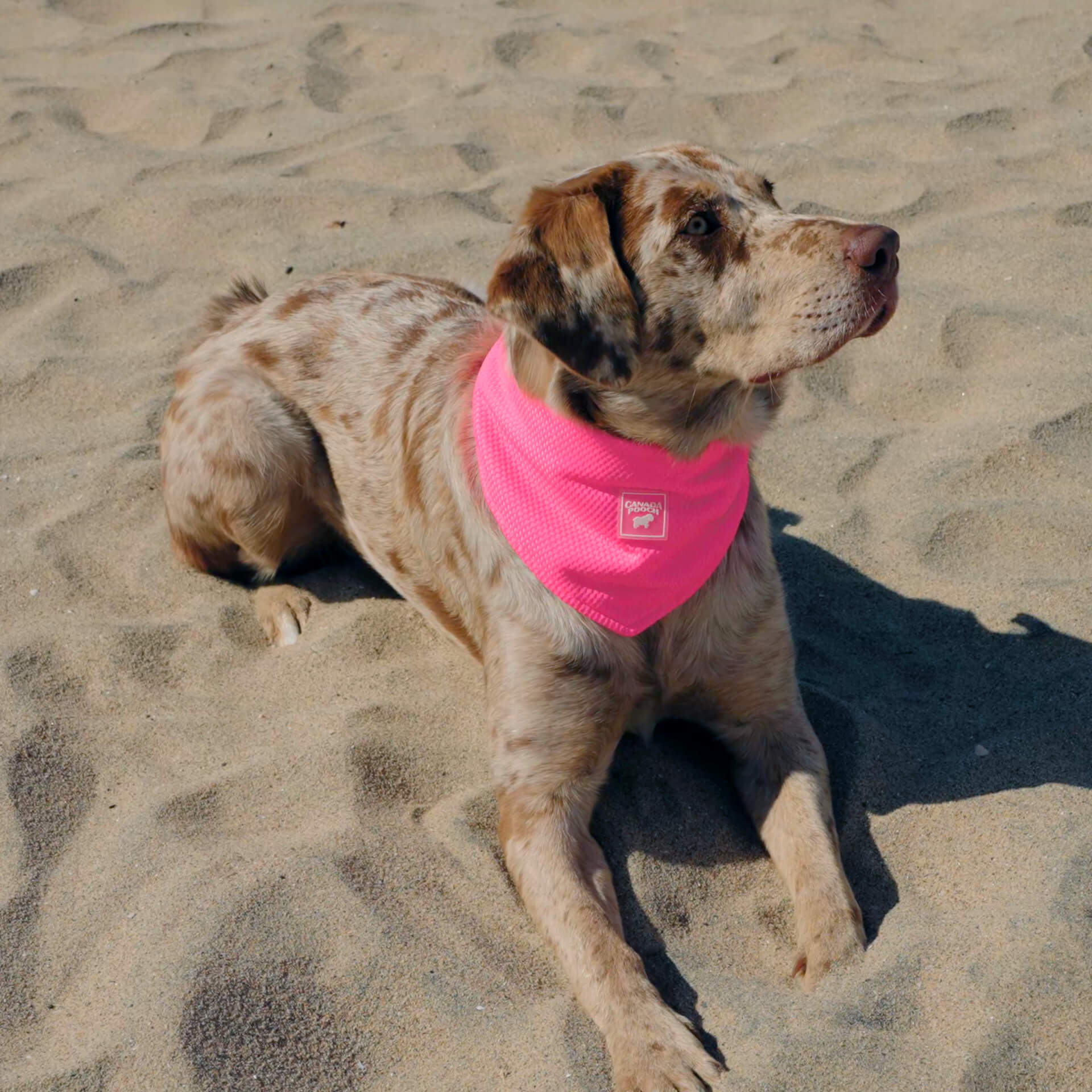 Cooling Bandana - Image 16