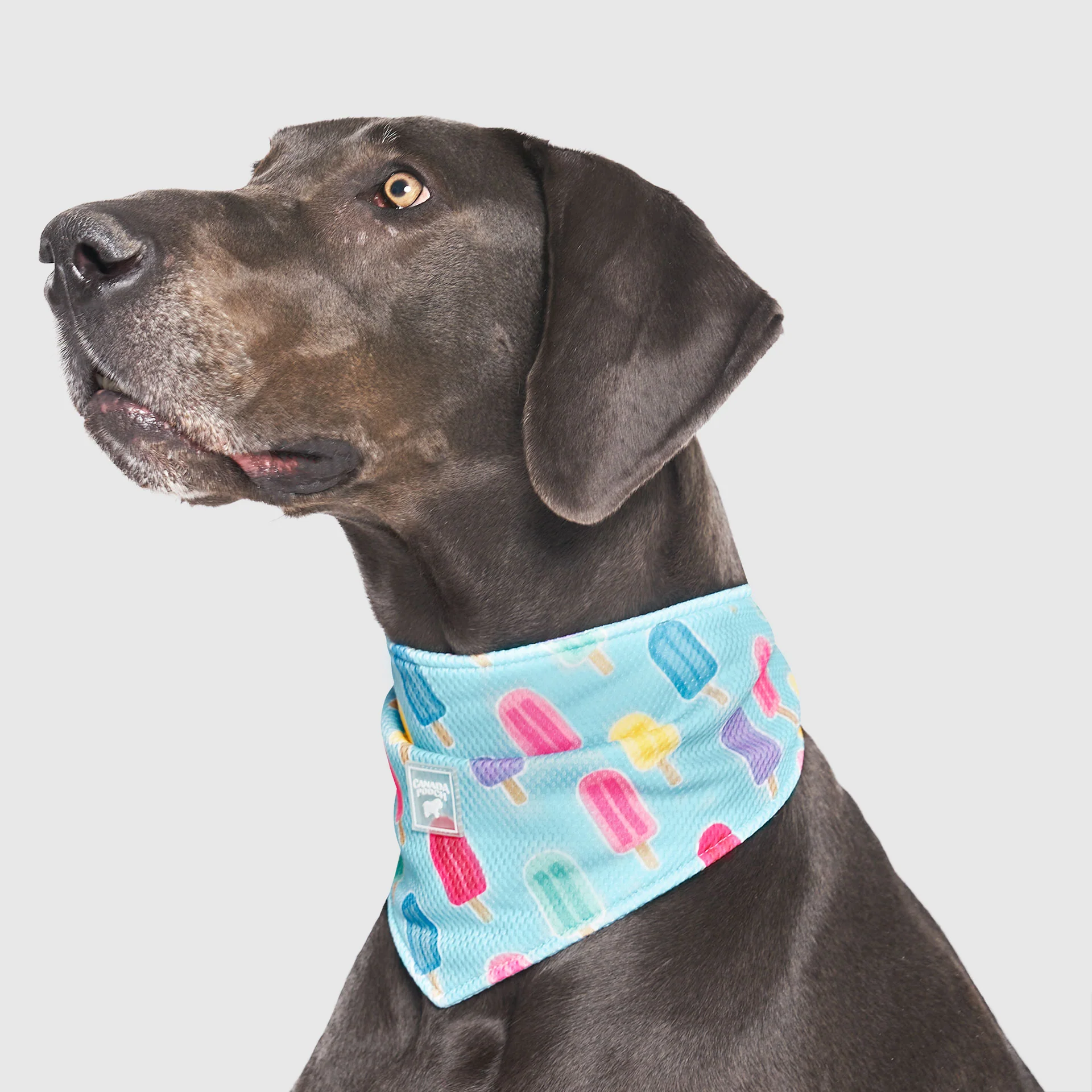 Cooling Bandana - Image 19