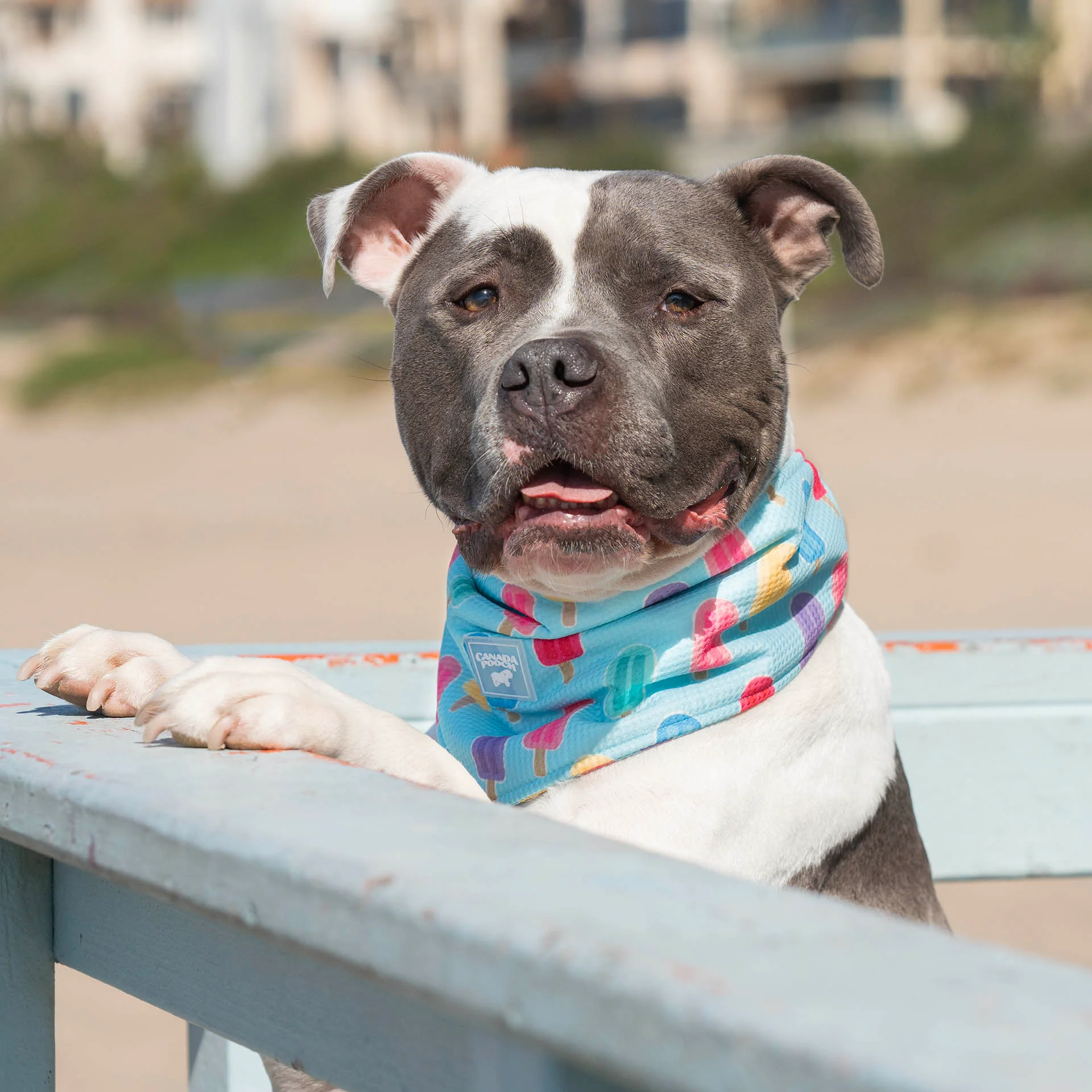 Cooling Bandana - Image 20