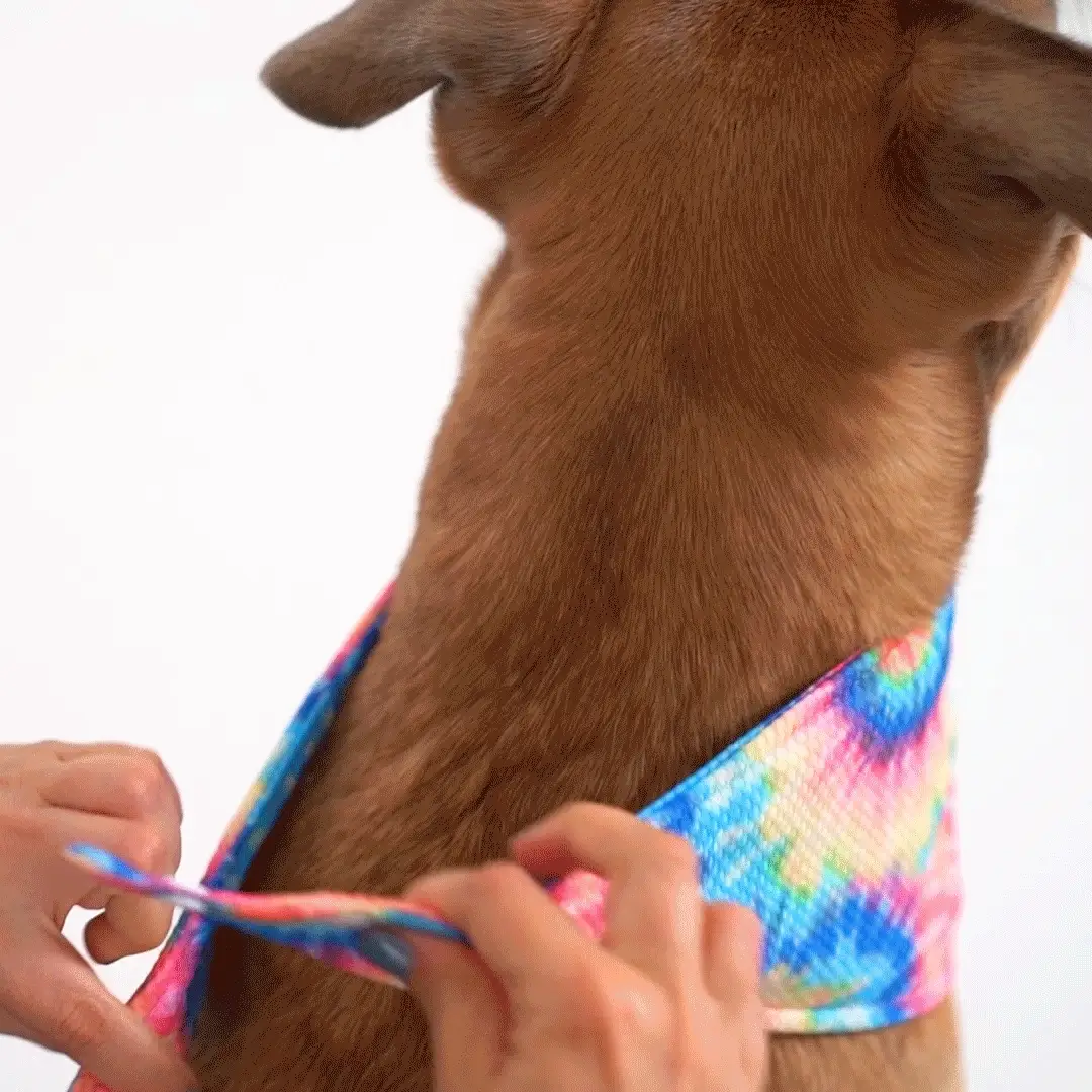 Cooling Bandana - Image 21