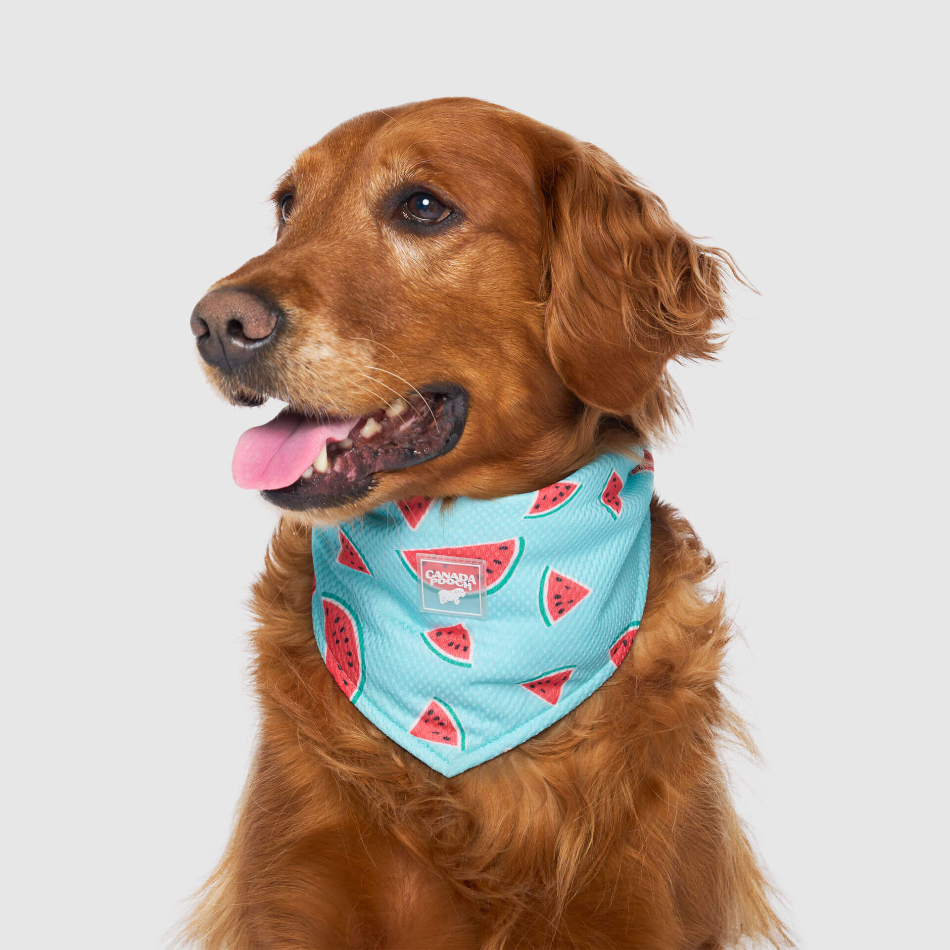 Cooling Bandana - Image 23