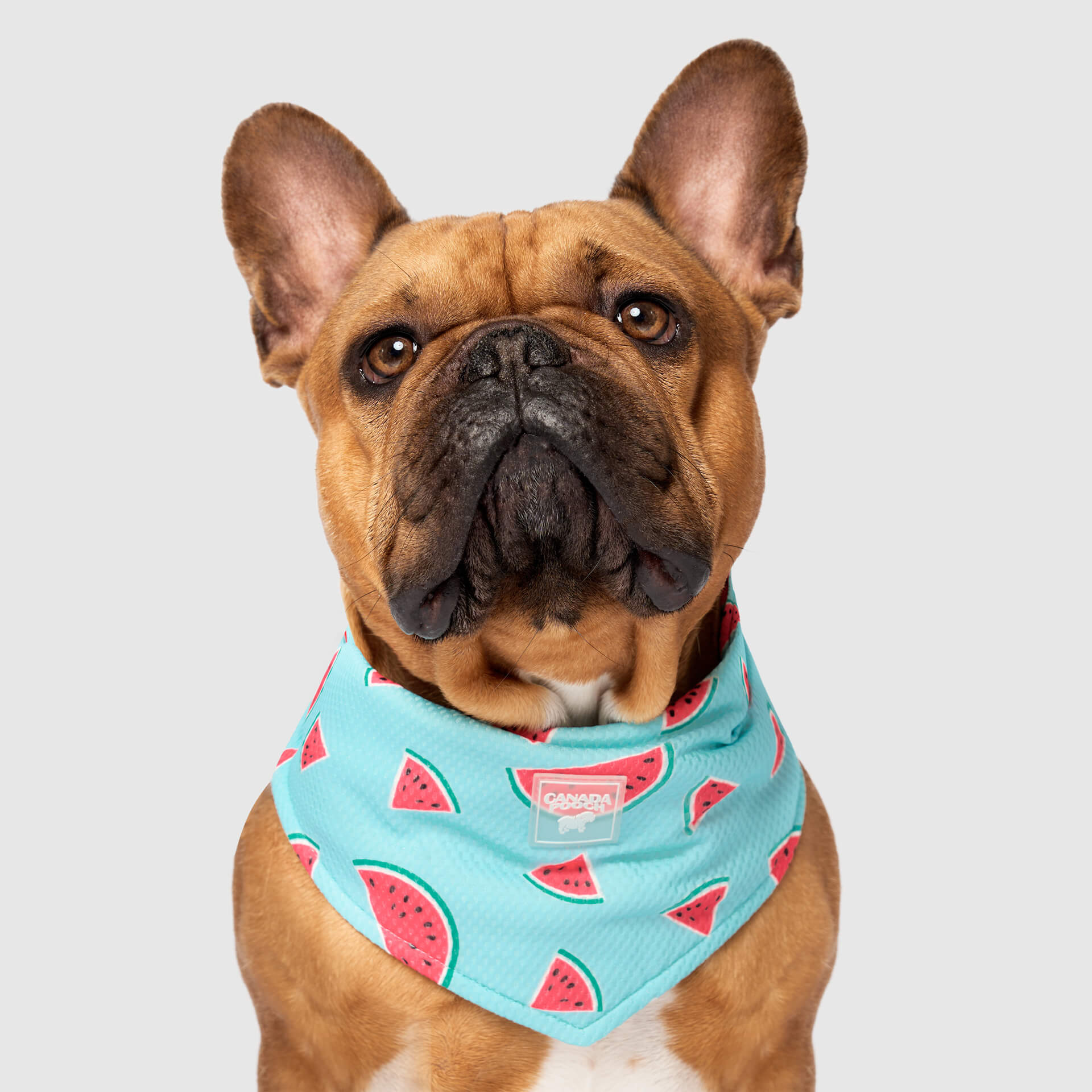 Cooling Bandana - Image 24