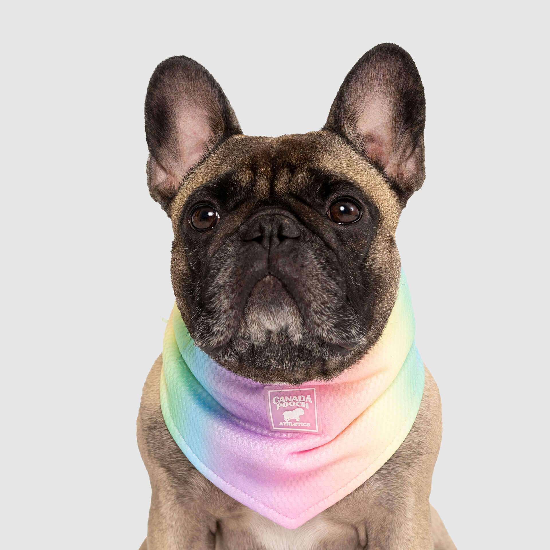 Cooling Bandana - Image 6