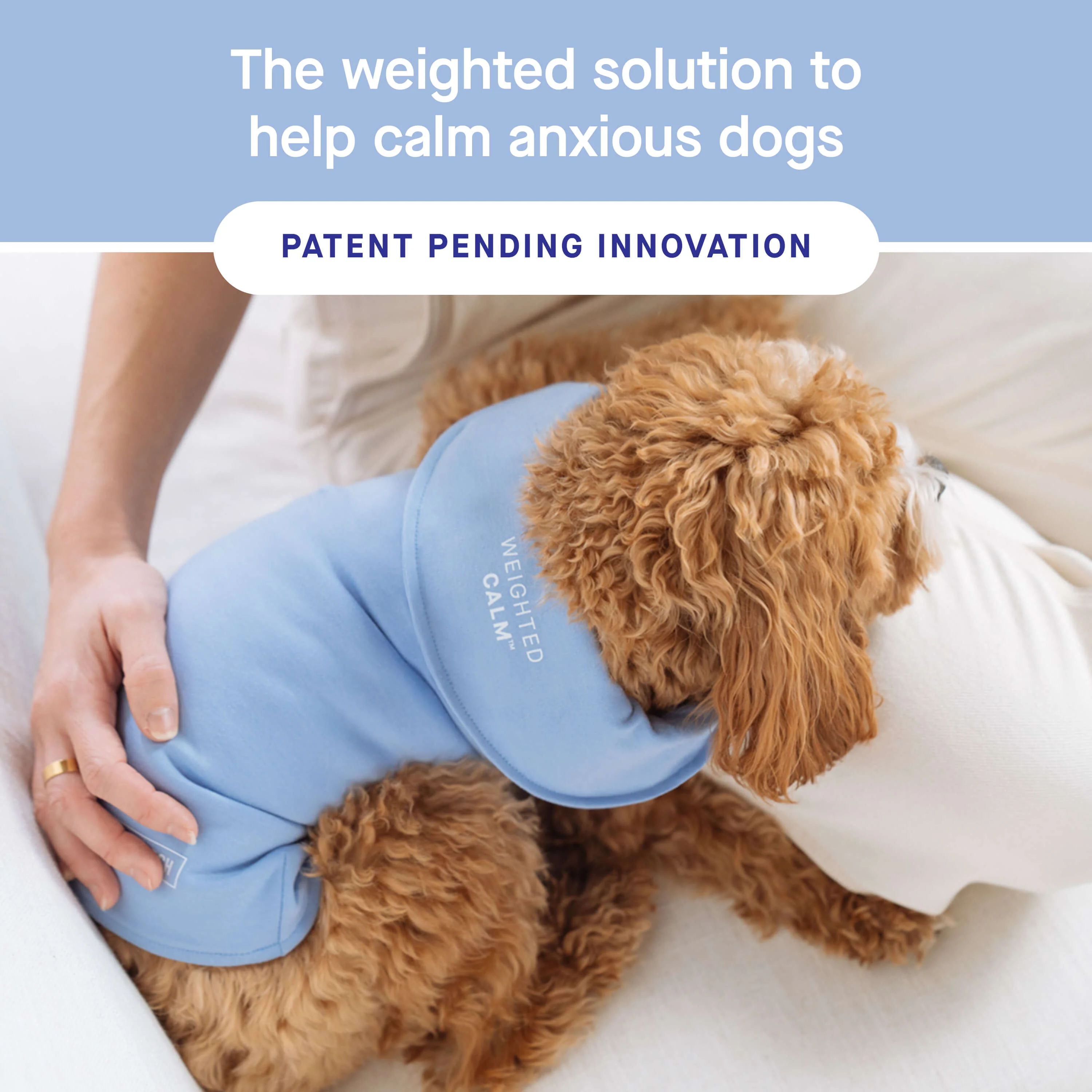 Weighted Calming Vest - Image 13
