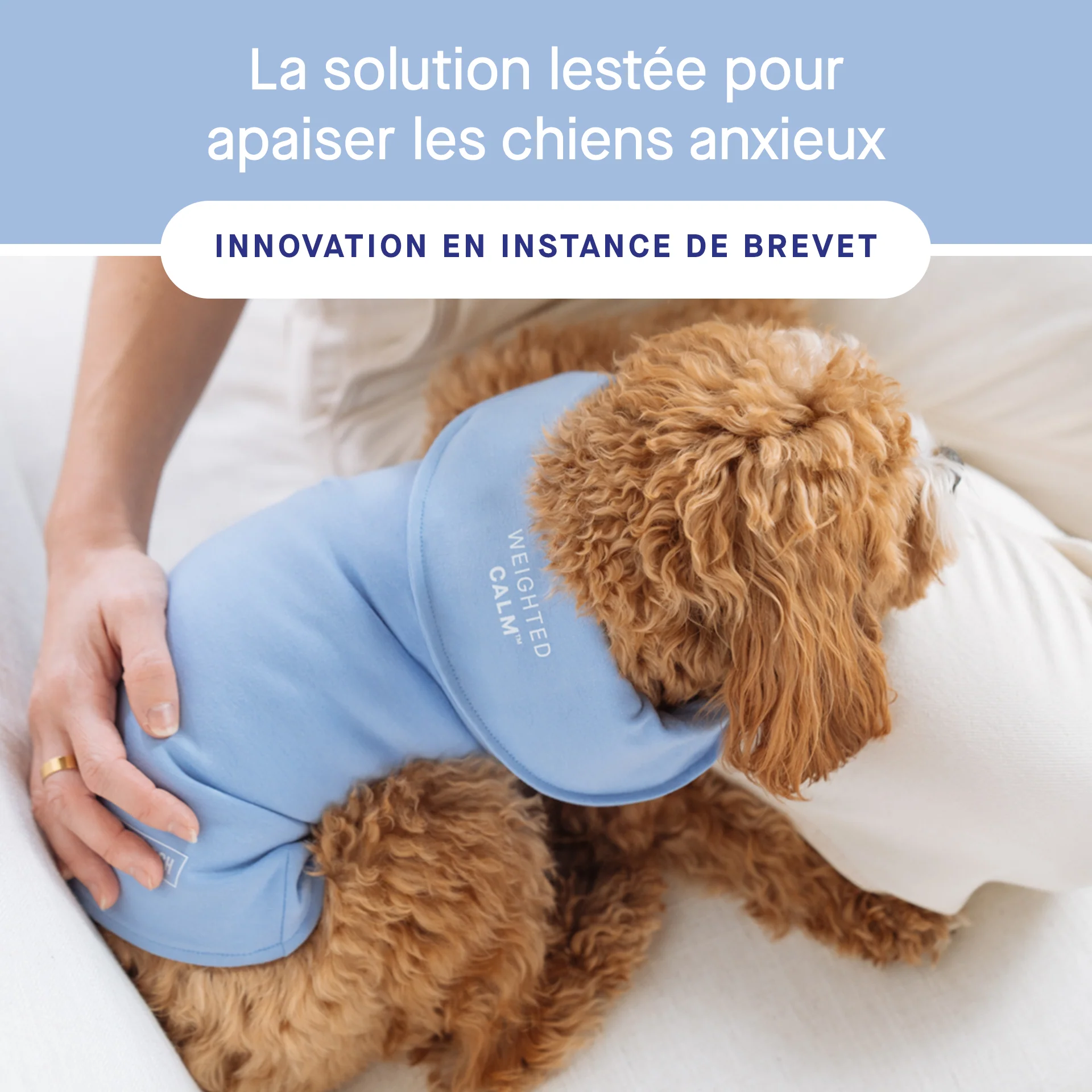 Weighted Calming Vest - Image 14