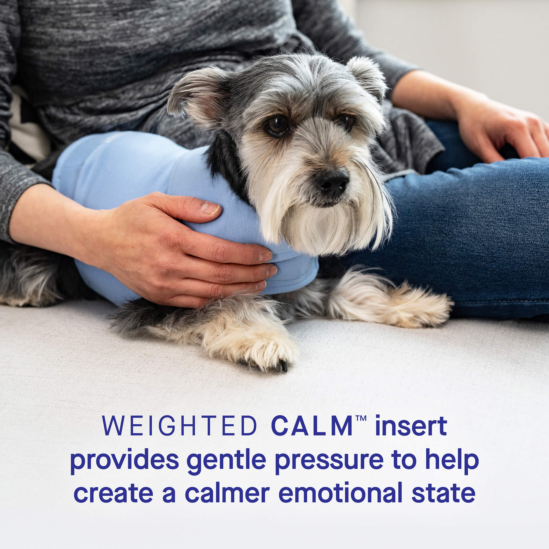 Weighted Calming Vest - Image 15