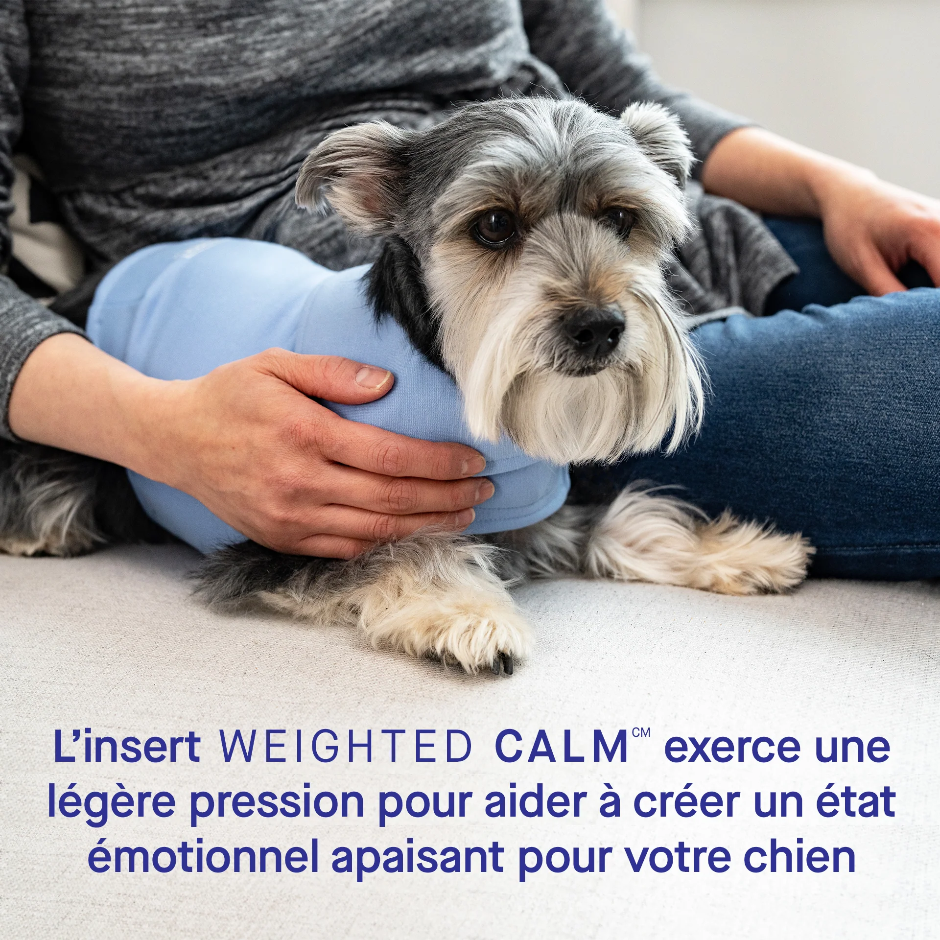 Weighted Calming Vest - Image 16